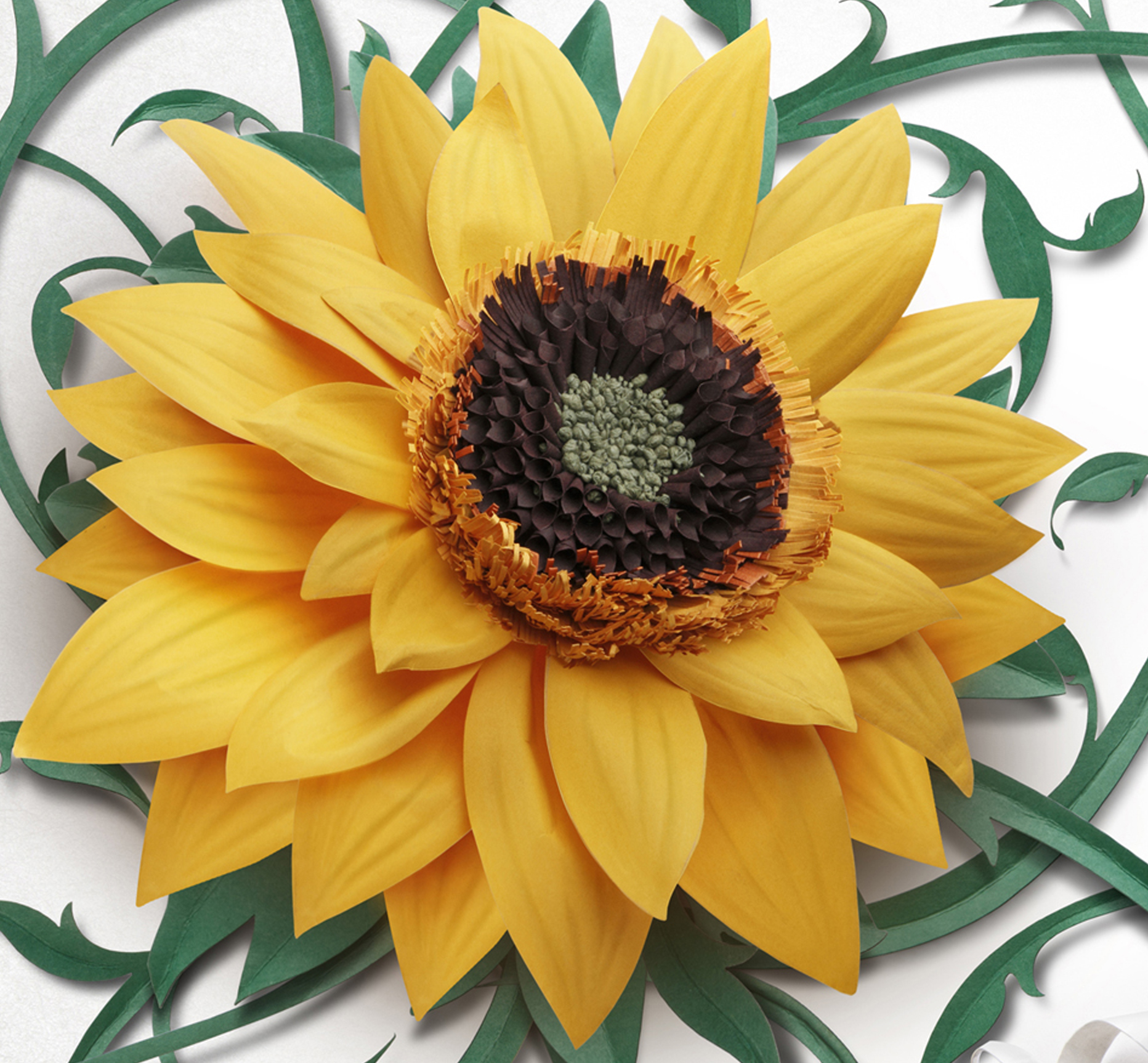 New Final SunFlower- Master 2 Close-up.jpg