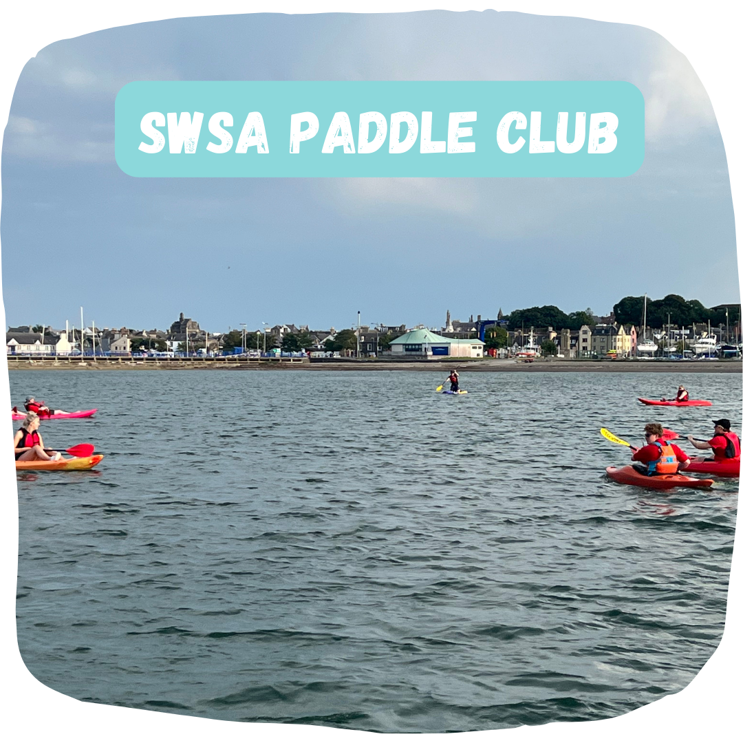 Paddle club.png
