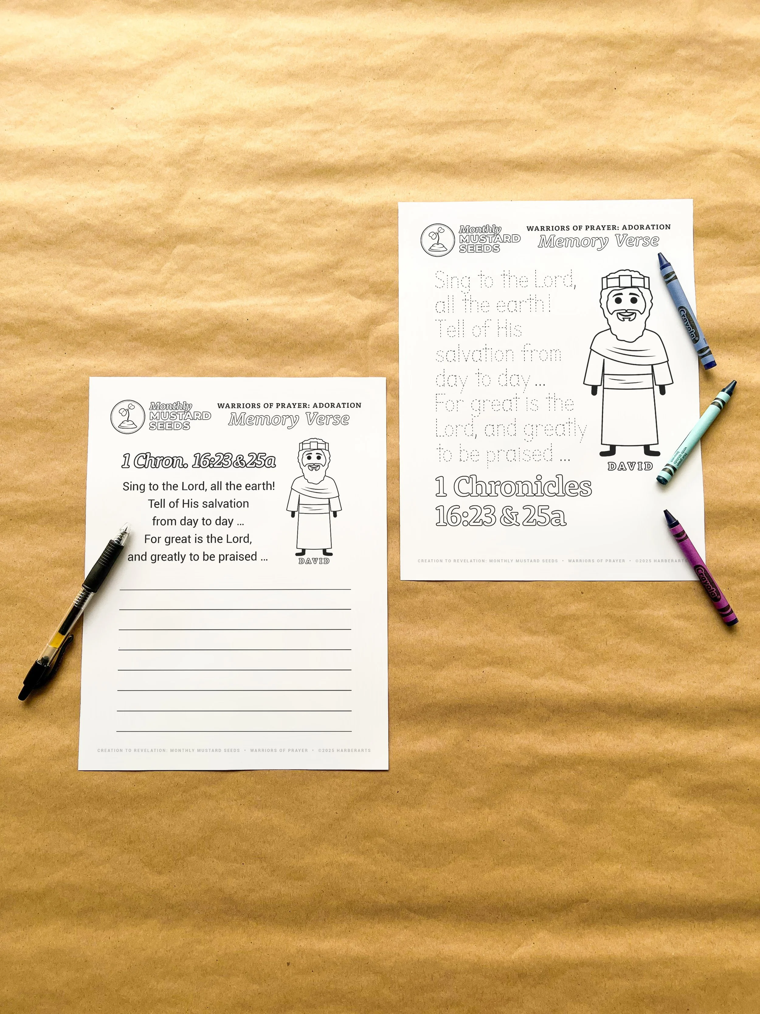 MMS Feb render 2.jpg