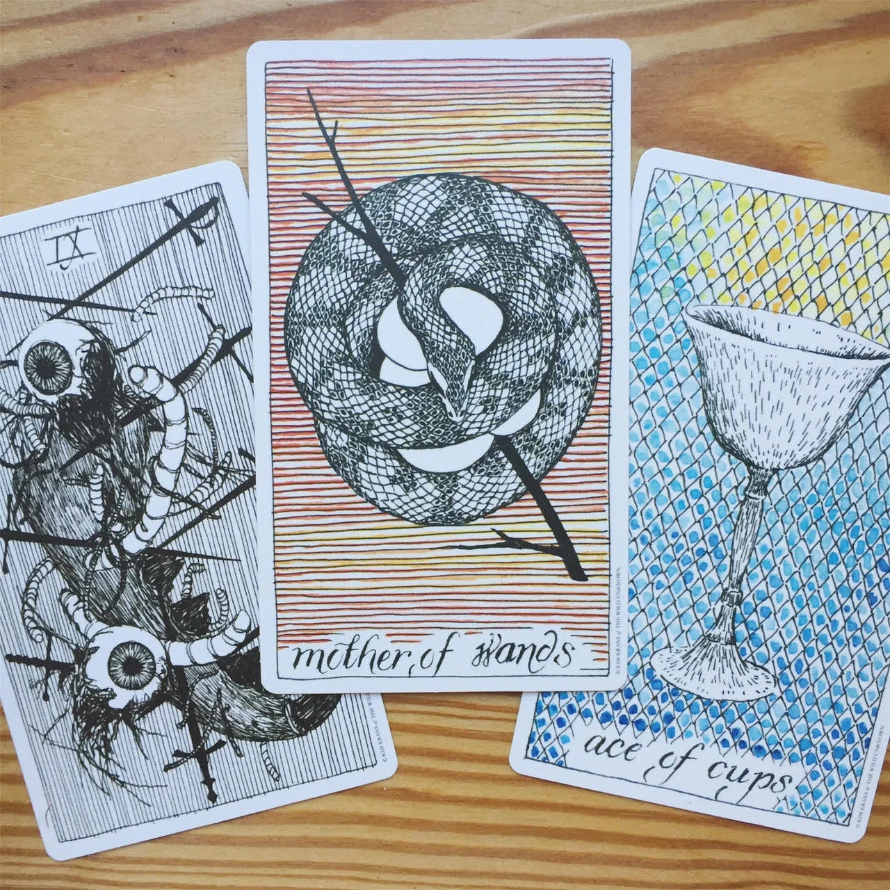 Tarot reading with wild unknown tarot