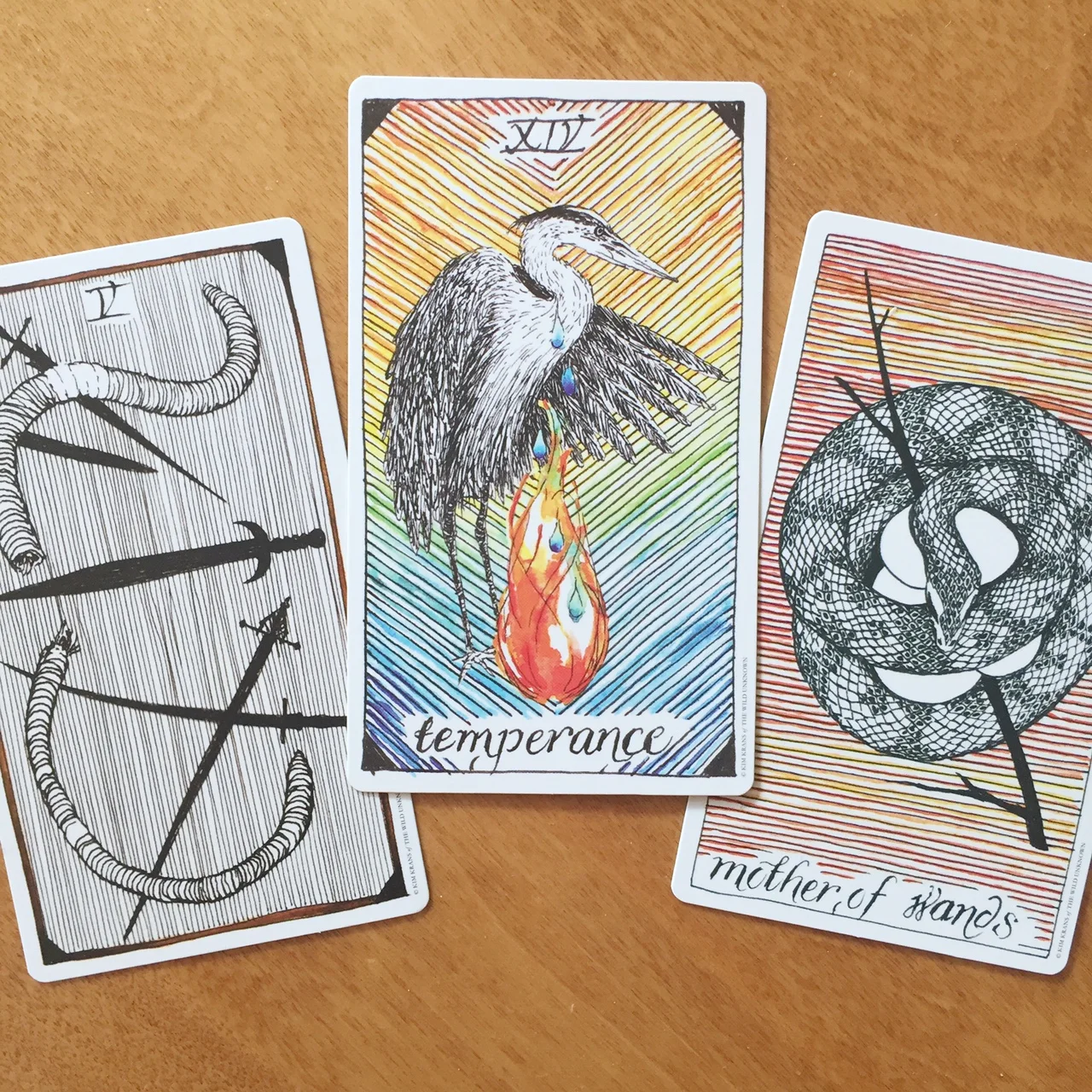 Tarot Reading with the Wild Unknown Tarot