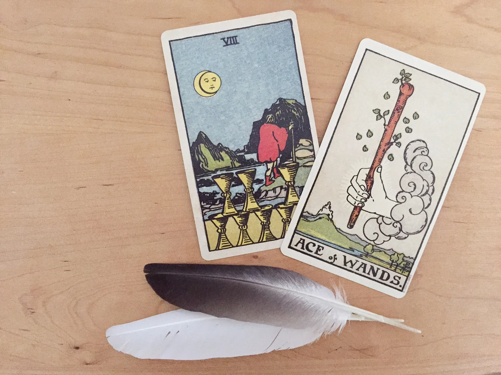 Feather Tarot Reading Rider Waite Ace of Wands Eight of Cups