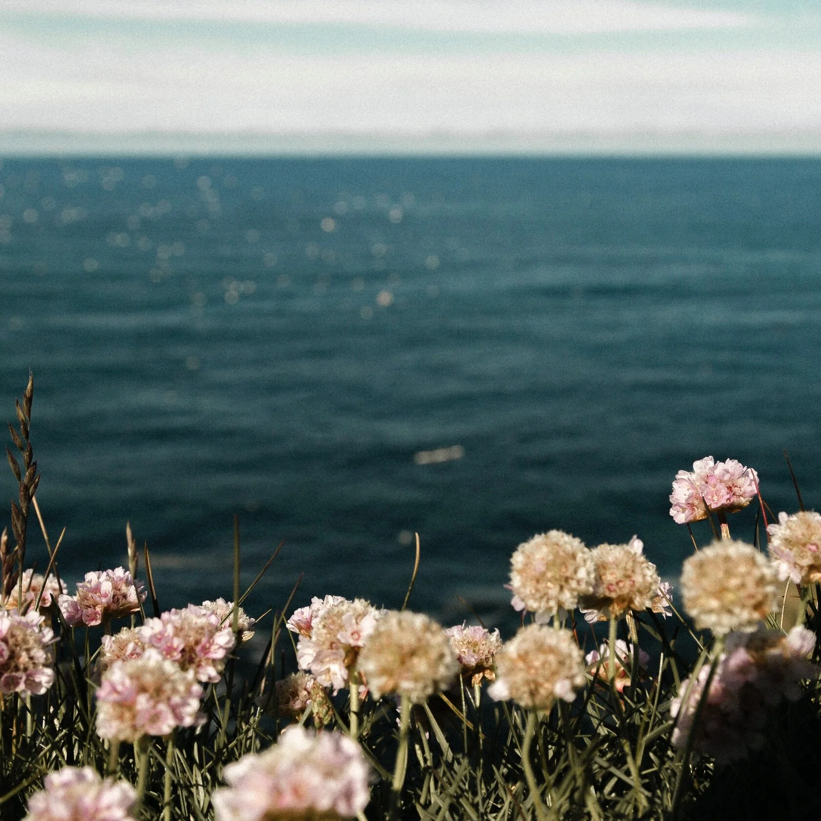 A Note on the Changes Afoot at Incandescent Tarot