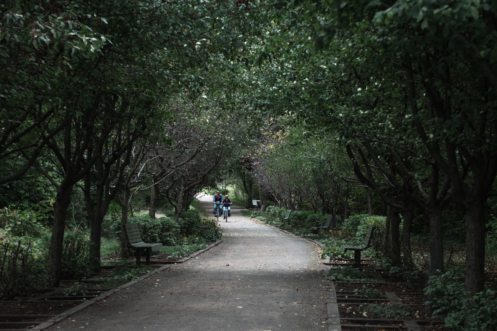 The entrance of the parc had a beautiful archway of trees.