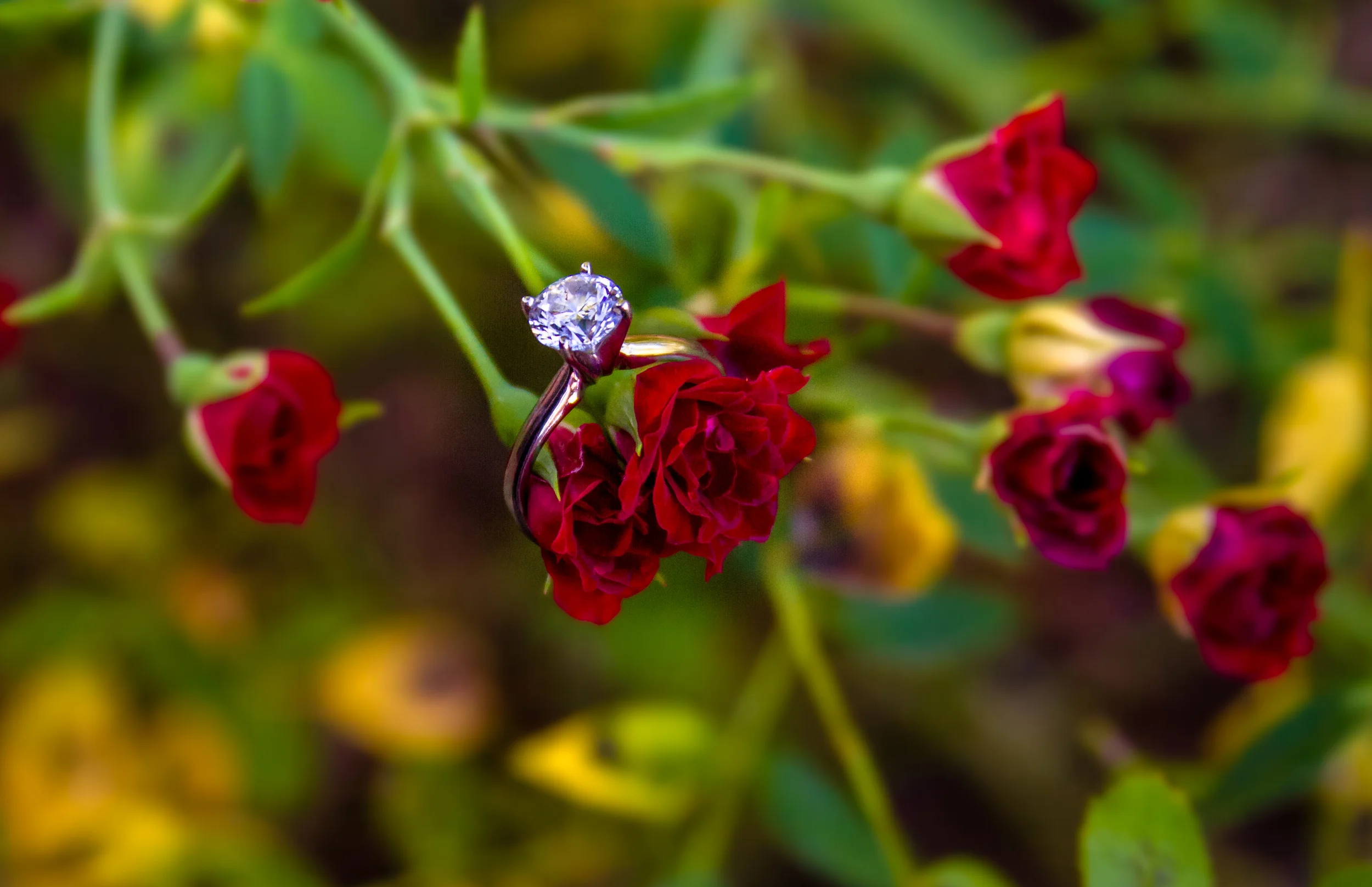 IMG_3114-Edit.jpg