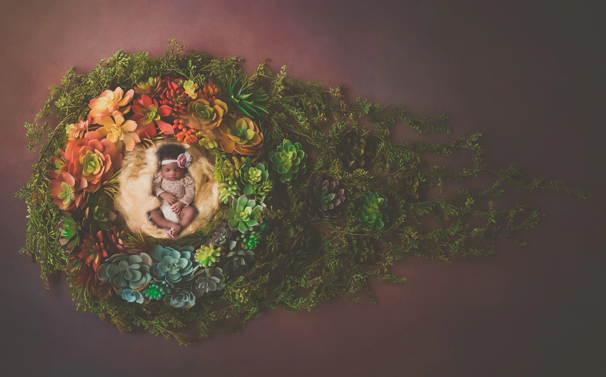 Newborn digital backdrop - Lauree Jane Photography, LLC Erie, PA