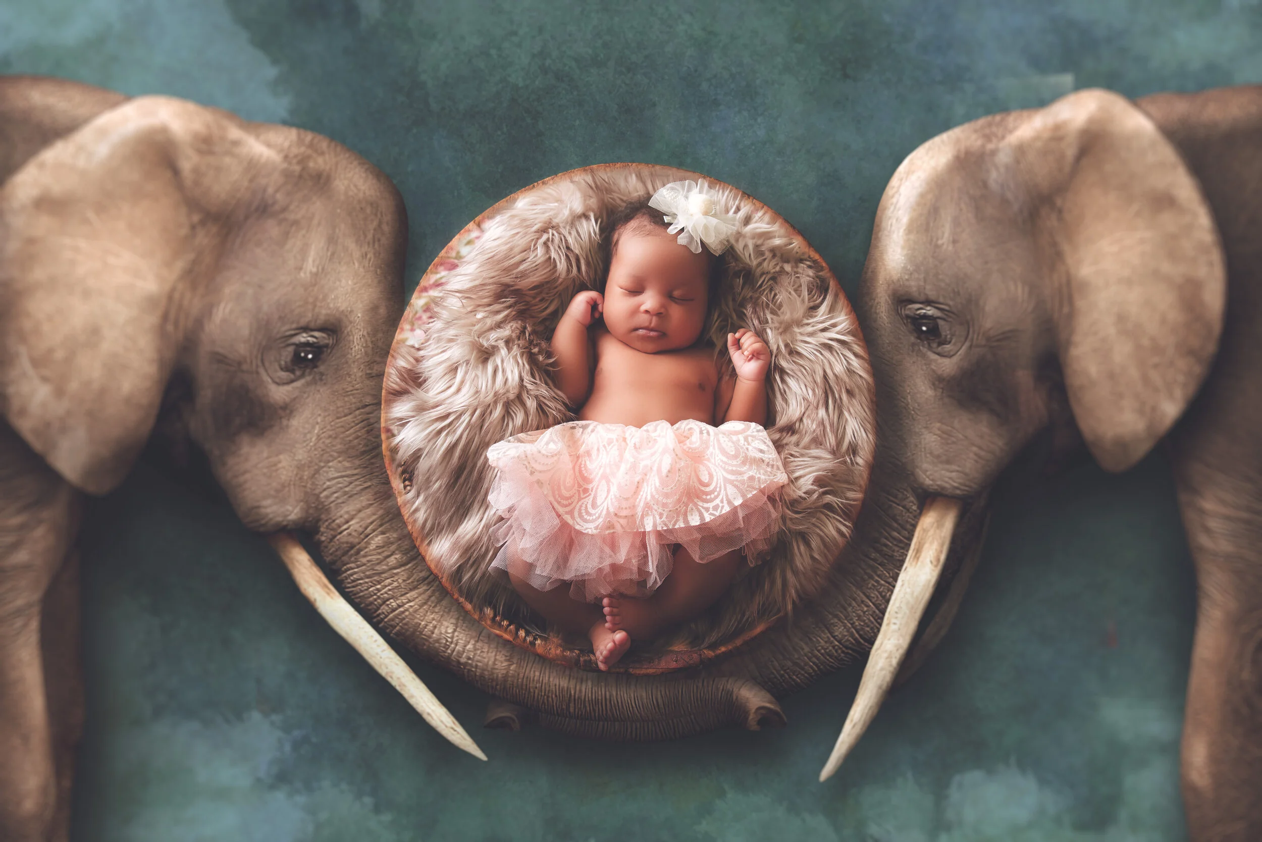  Newborn Digital Backdrop - Lauree Jane Photography, LLC 