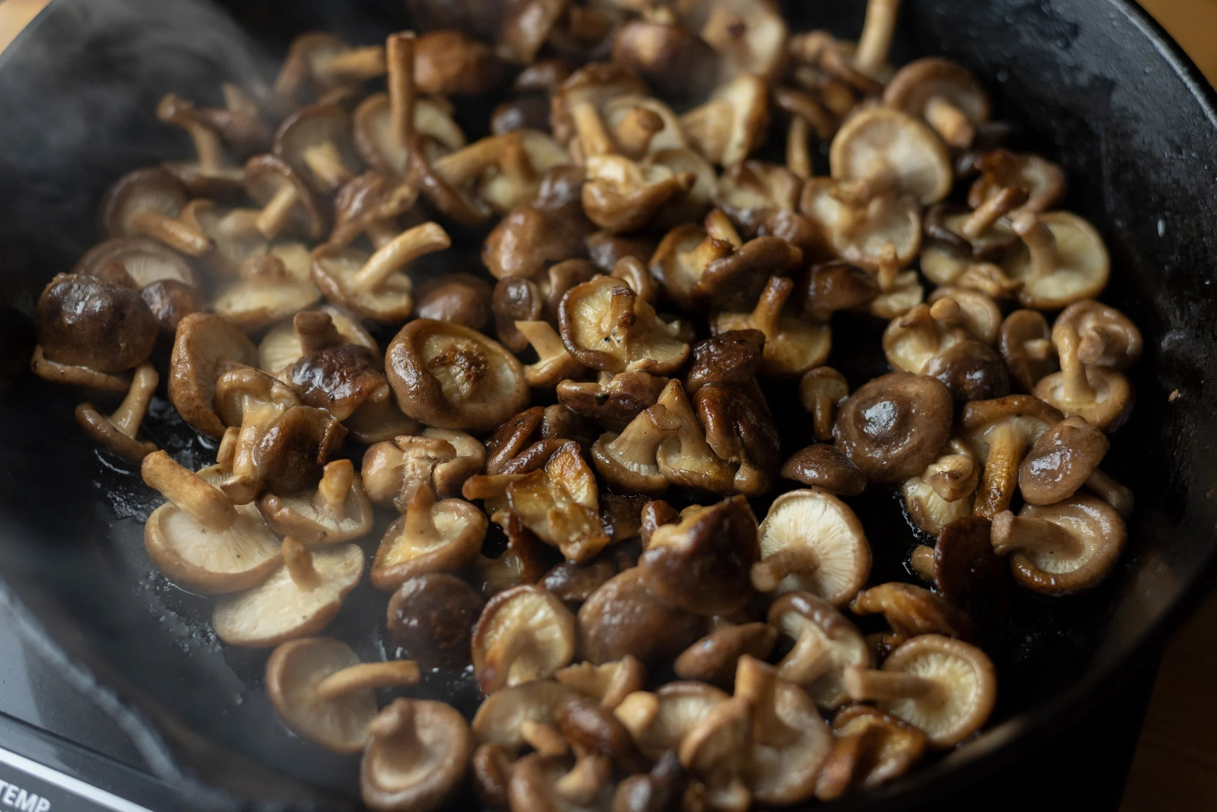 stroganoff_02.jpg