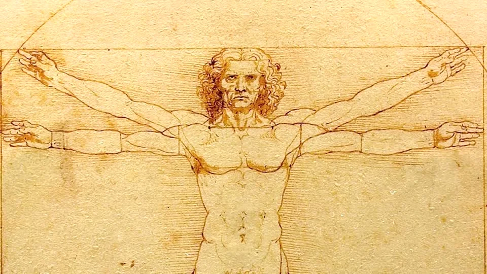Leonardo Da Vinci's drawings compilation: Homme de Vitruve