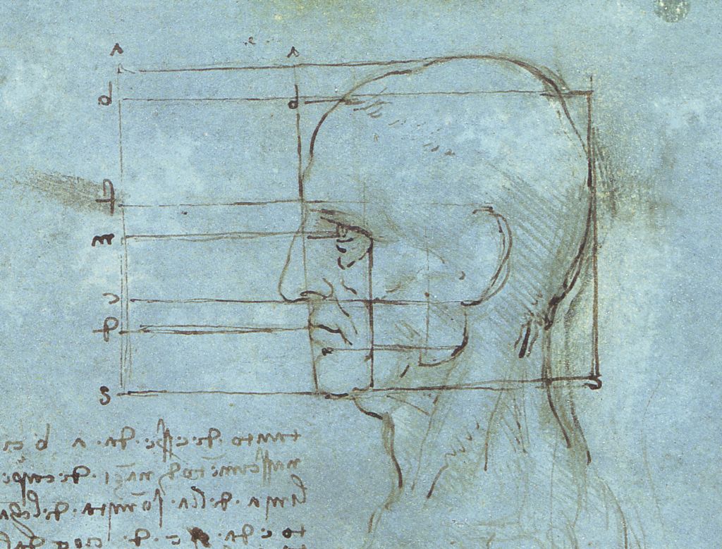 Proportions of the Head. (1488-9) Da Vinci.