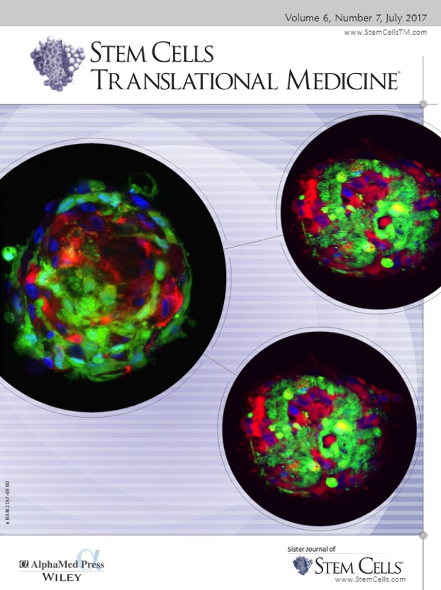 Cover Feature: Neo-Islets created by scientists at SymbioCellTech for the treatment of insulin-dependent diabetes.