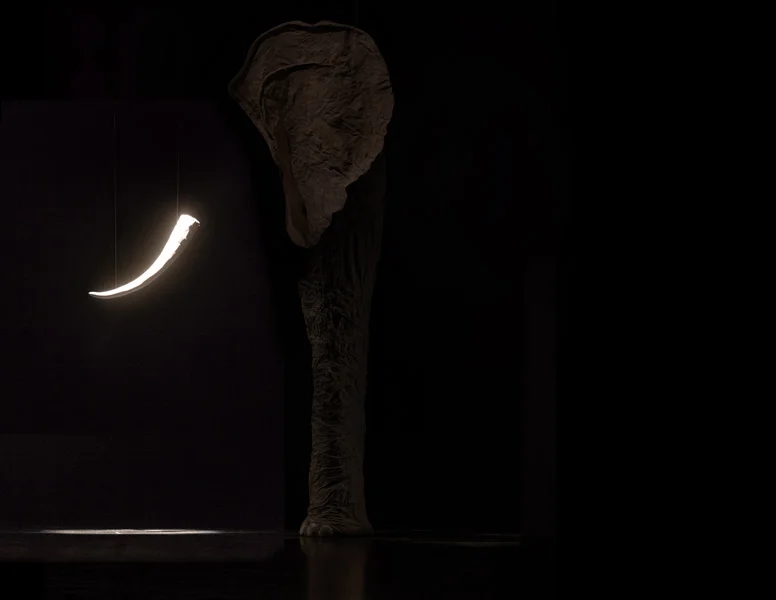  TUSK LIGHTING - THE BLIND MEN AND THE ELEPHANT - 2013 