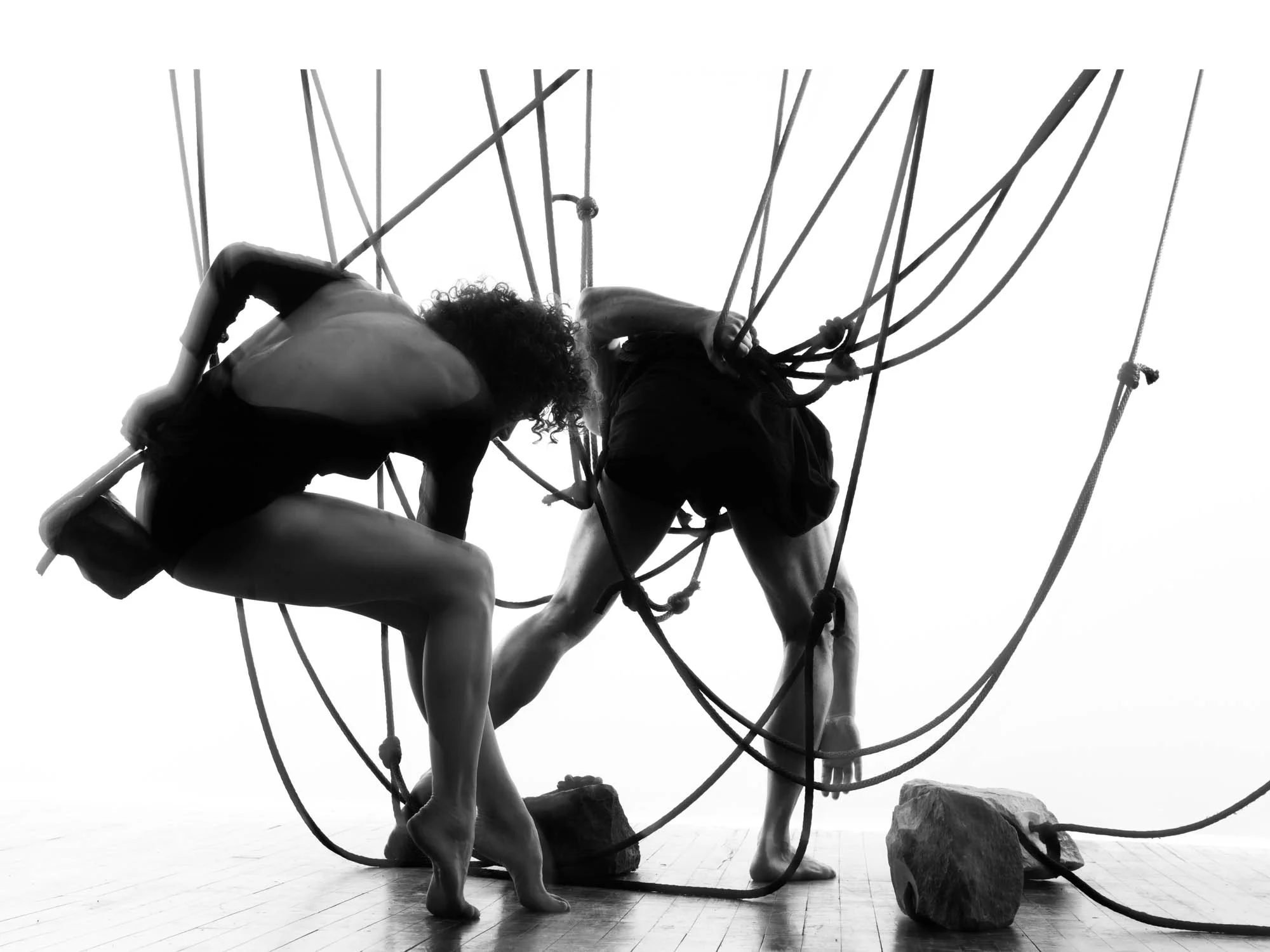 IMG_8483 as Smart Object-1.jpg