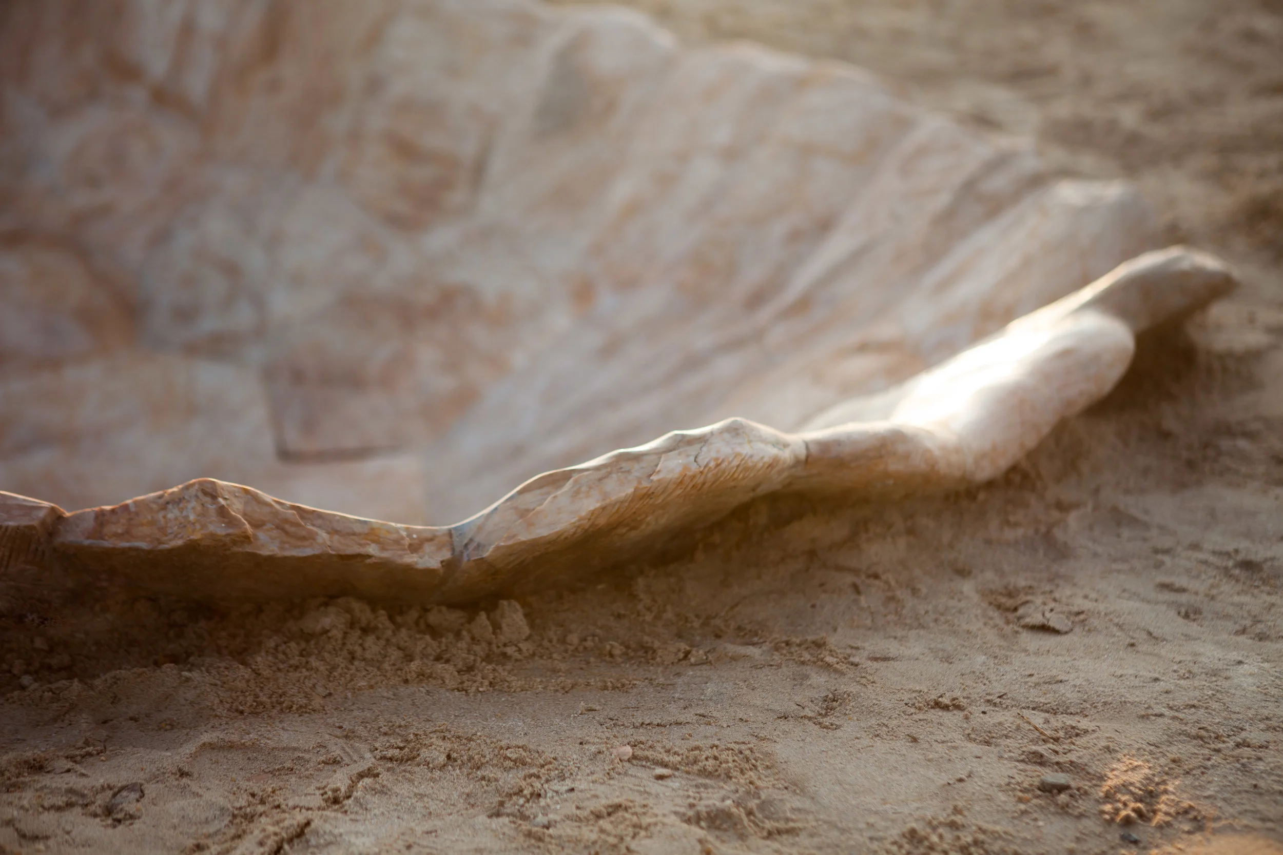 SoftDetail_2322-1.jpg