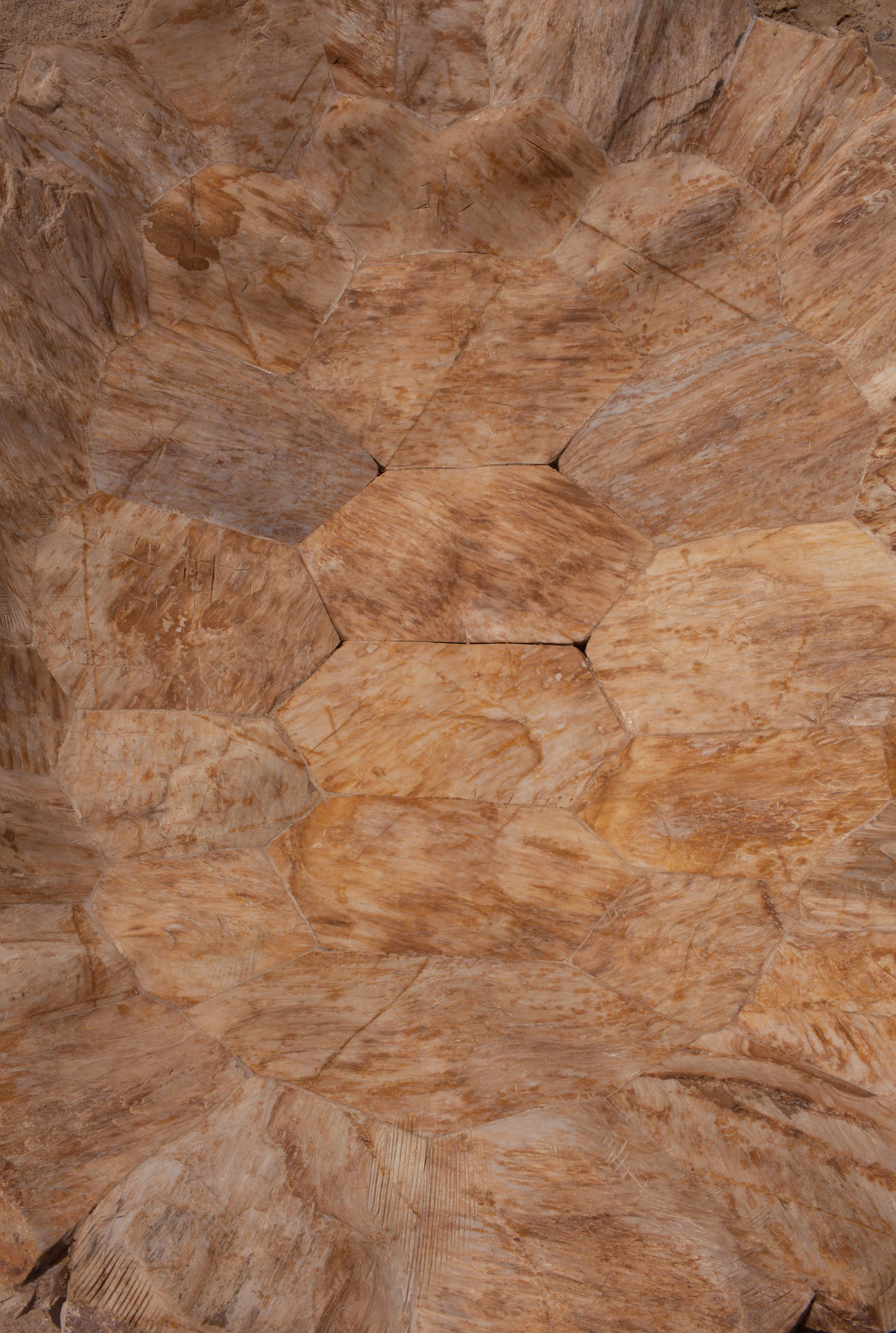 full&drain_3844 2-1.jpg