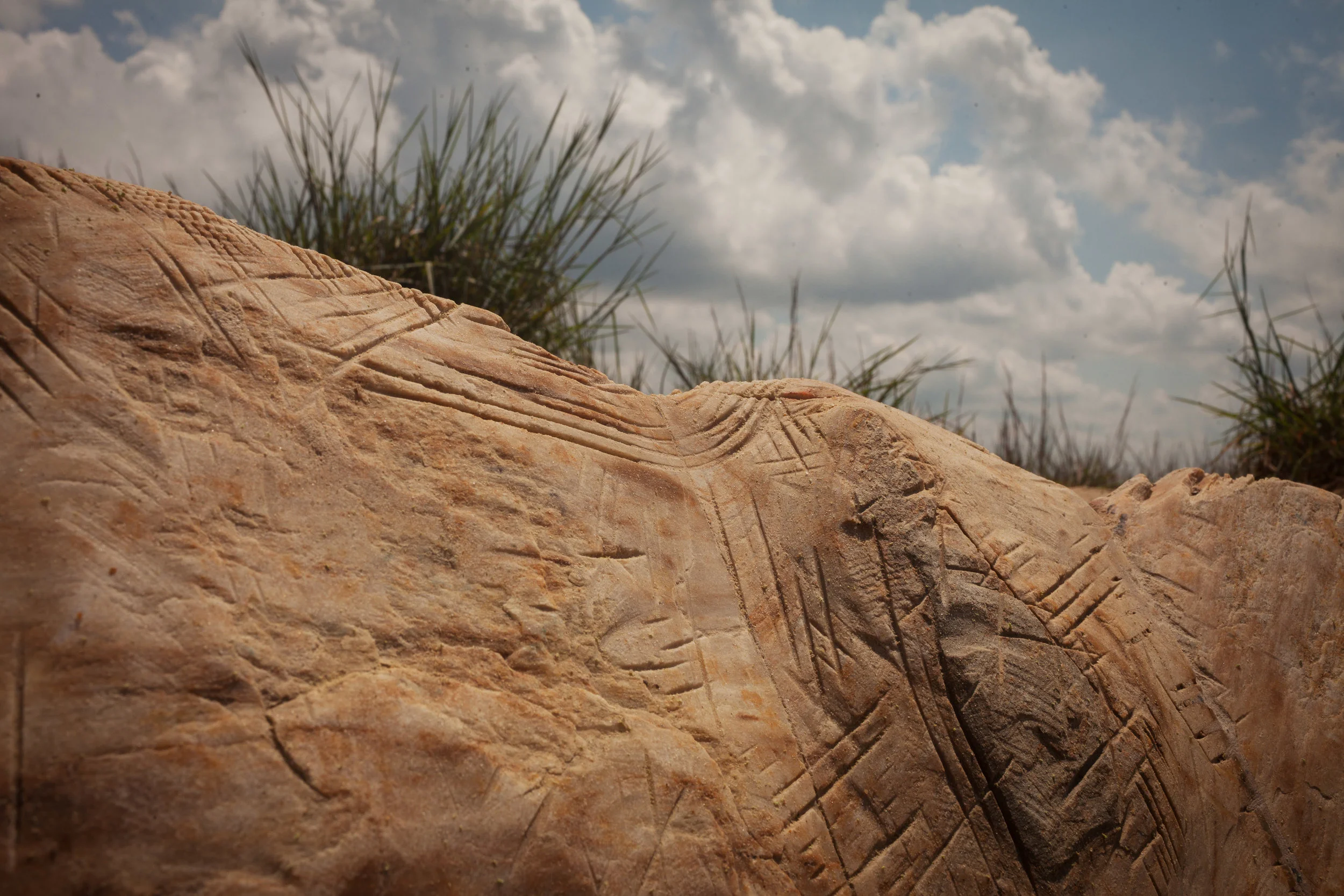 TP_mark_curve_3884 2-1.jpg
