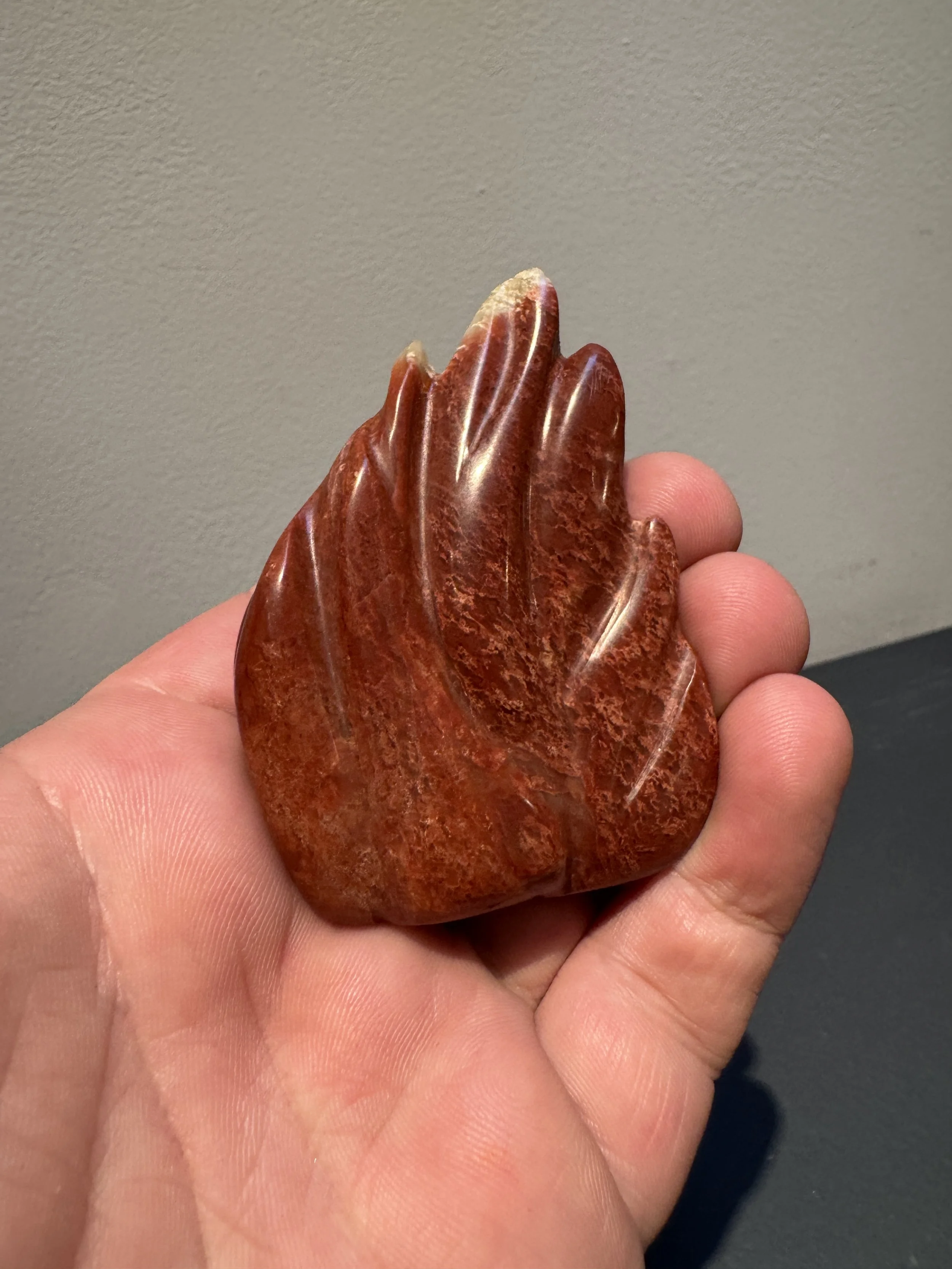 2025-05-19 17.31.13.jpg