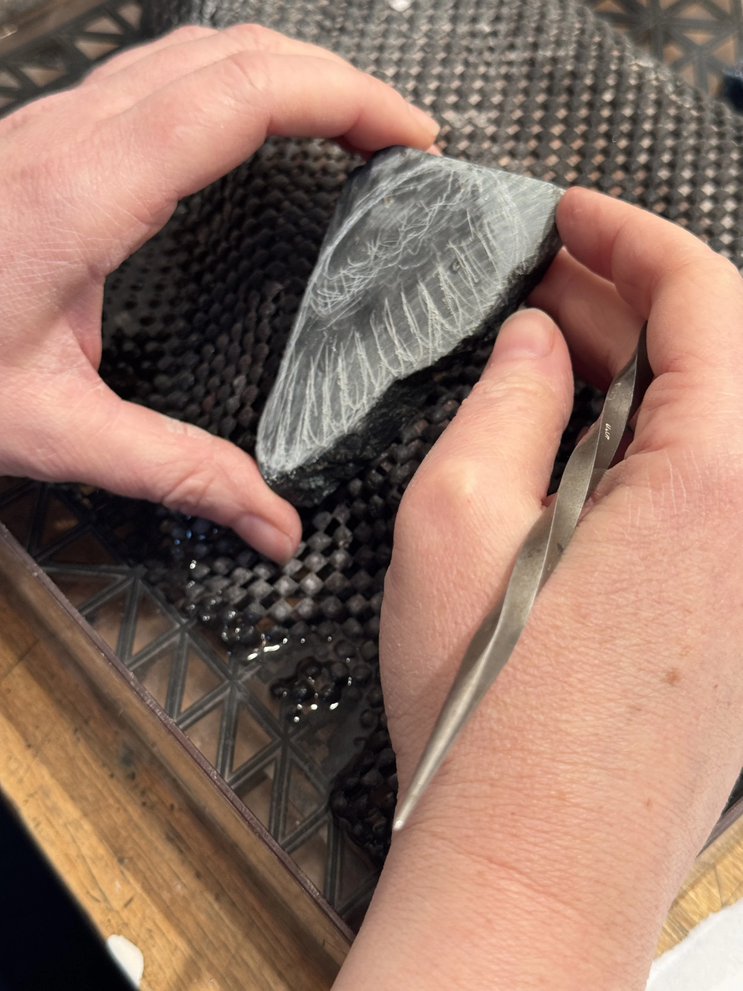 2025-11-15 13.27.17.jpg