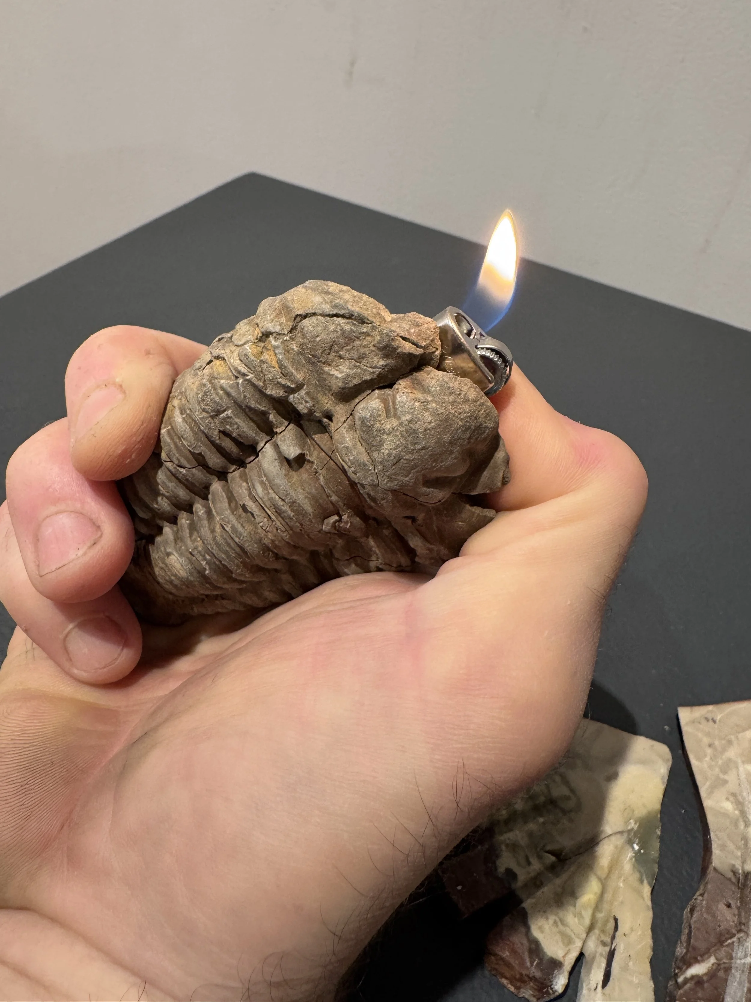 2025-11-16 16.35.43.jpg