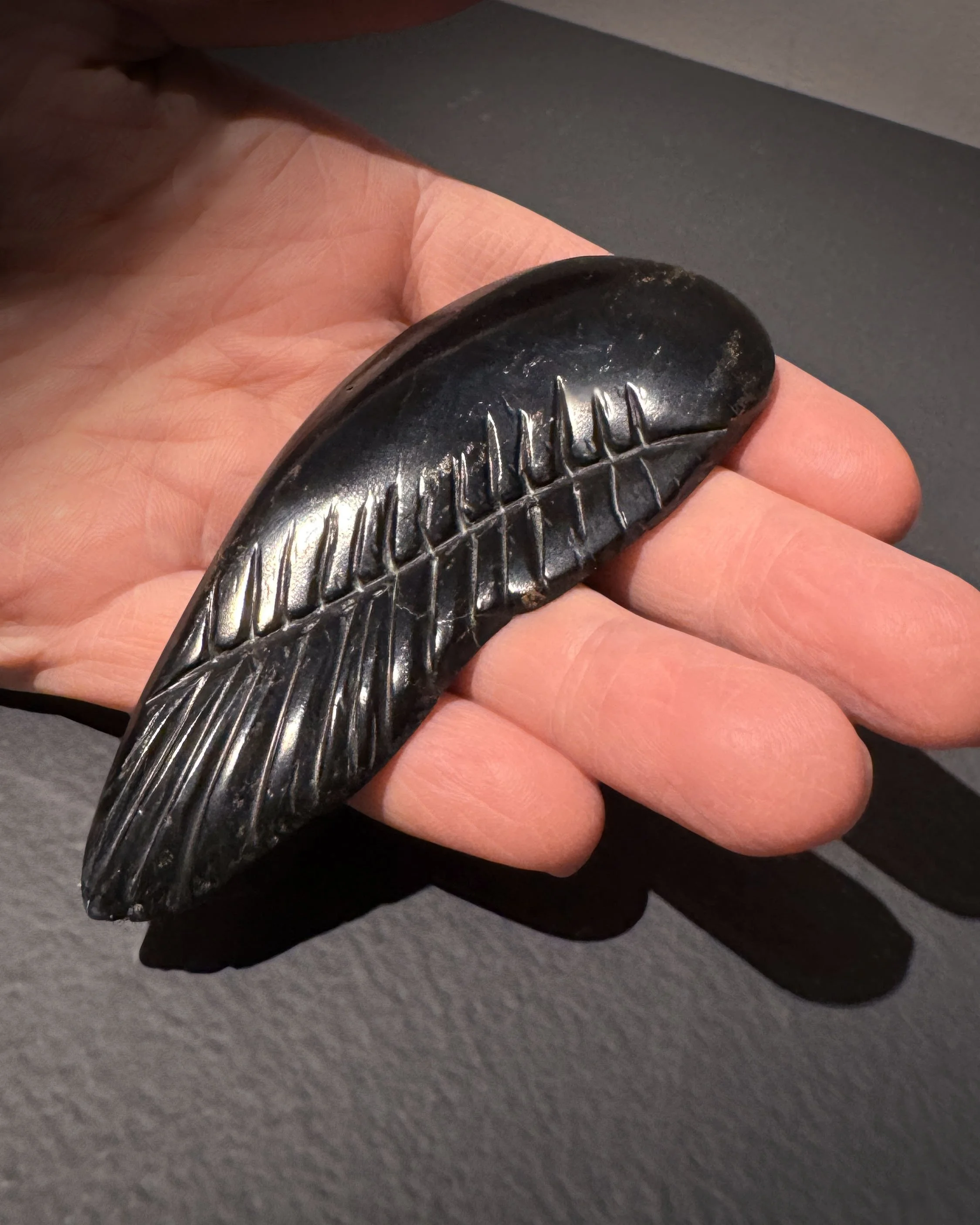 Lisa_Hand_2025-11-16 17.38.jpg