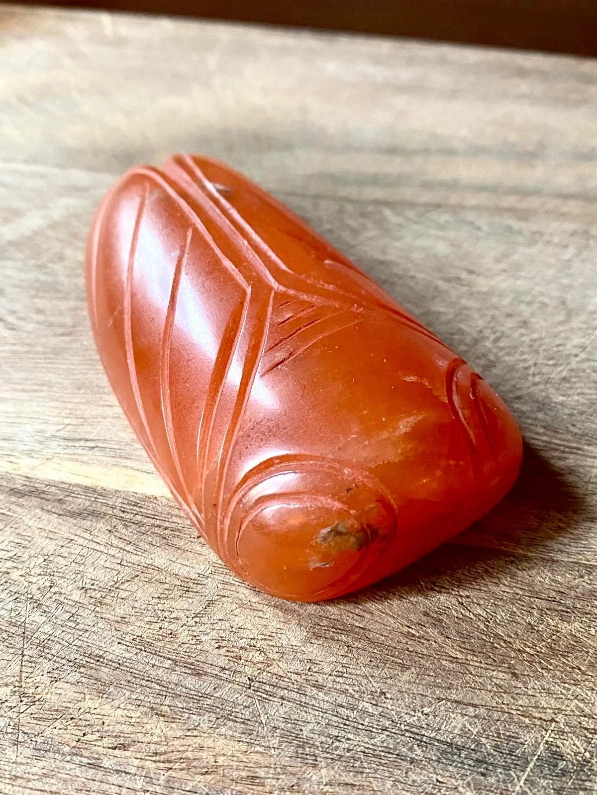 #cicada carving by Christina @matakidesign in blood orange alabaster. So lovely with such elegant lines.

#stonecarving #talisman
