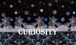 Curiosity: Can It Help Us To Be Better Musicians?