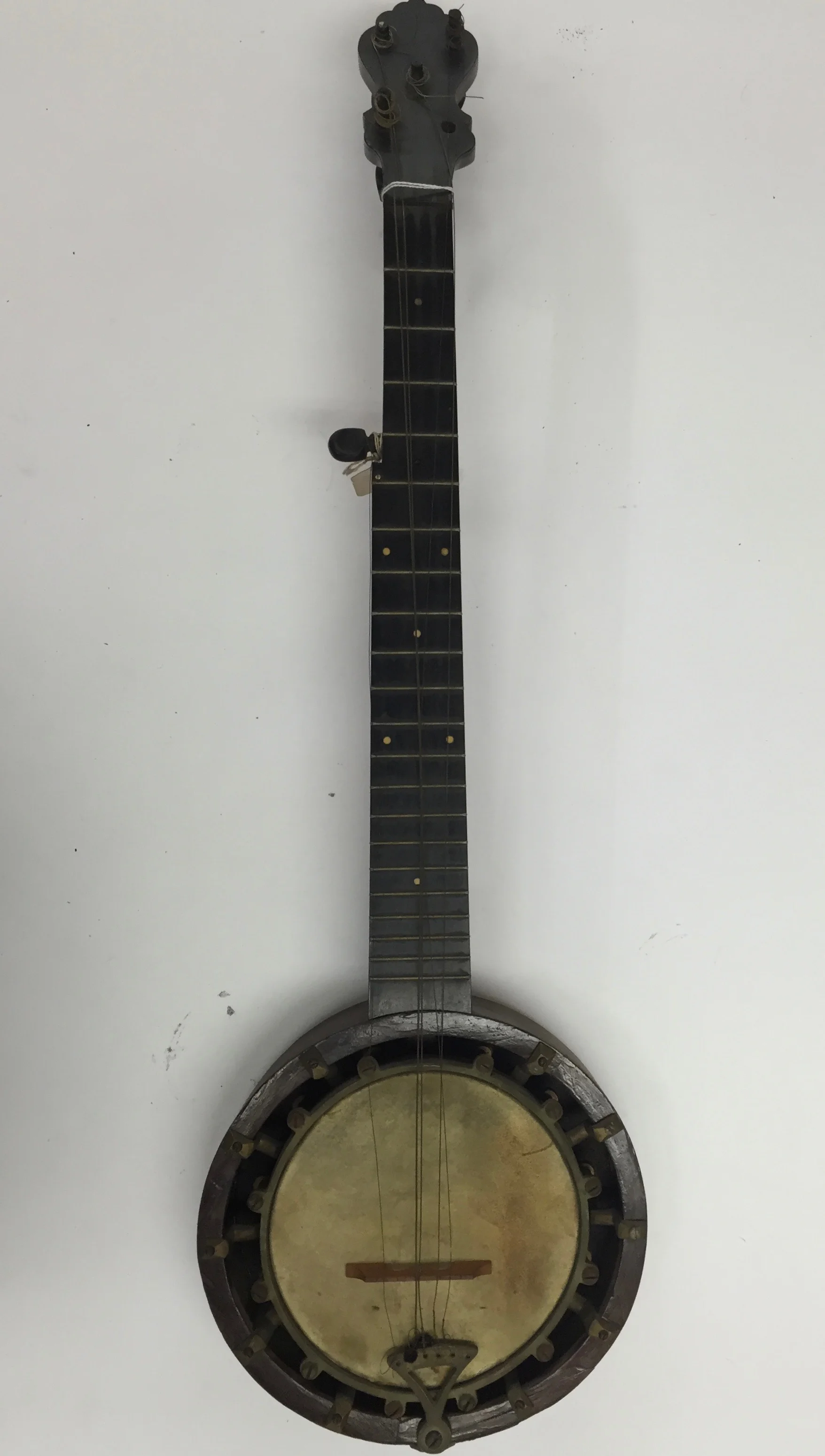 5-string Banjo