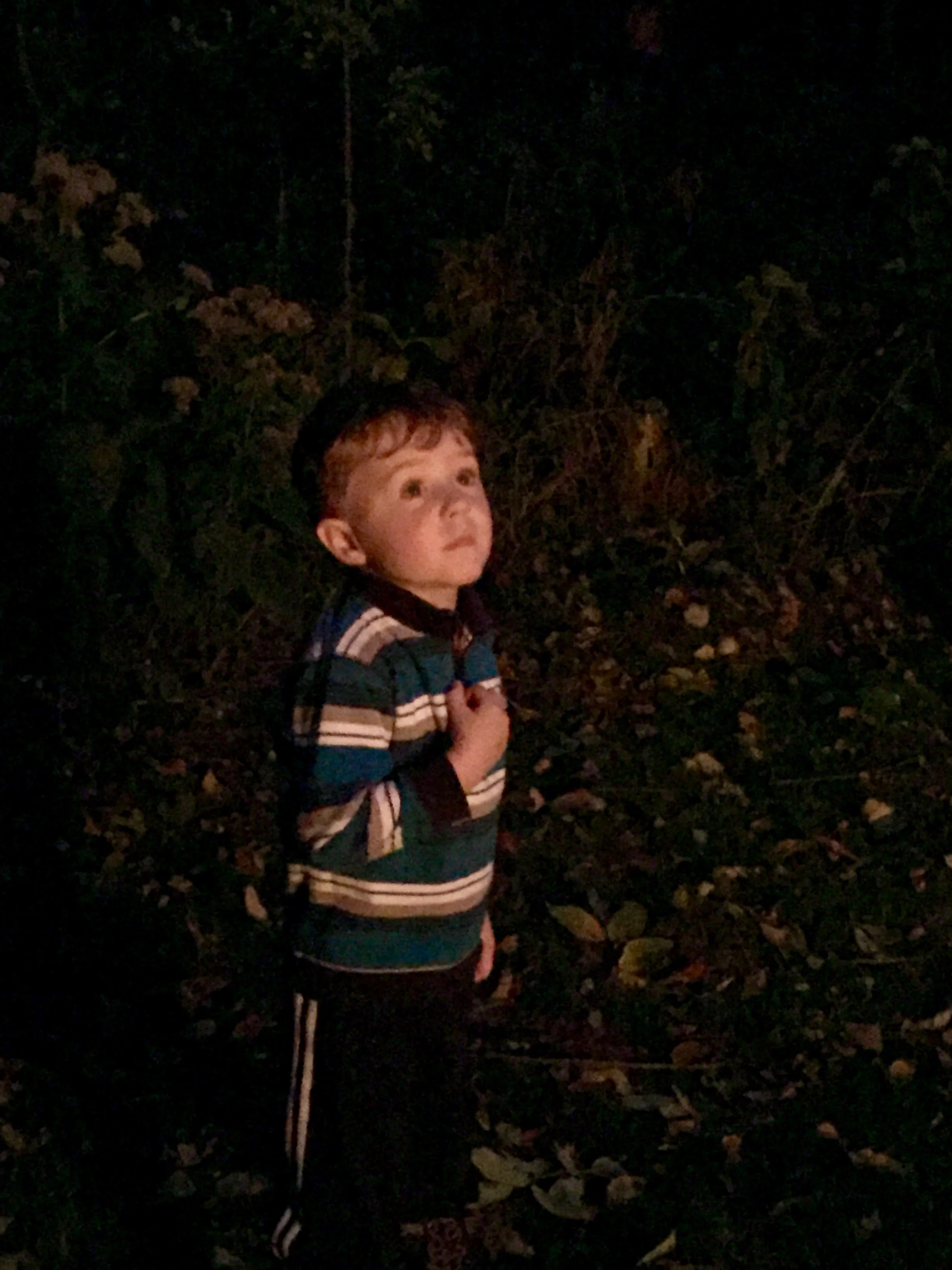 Grandson Rowan