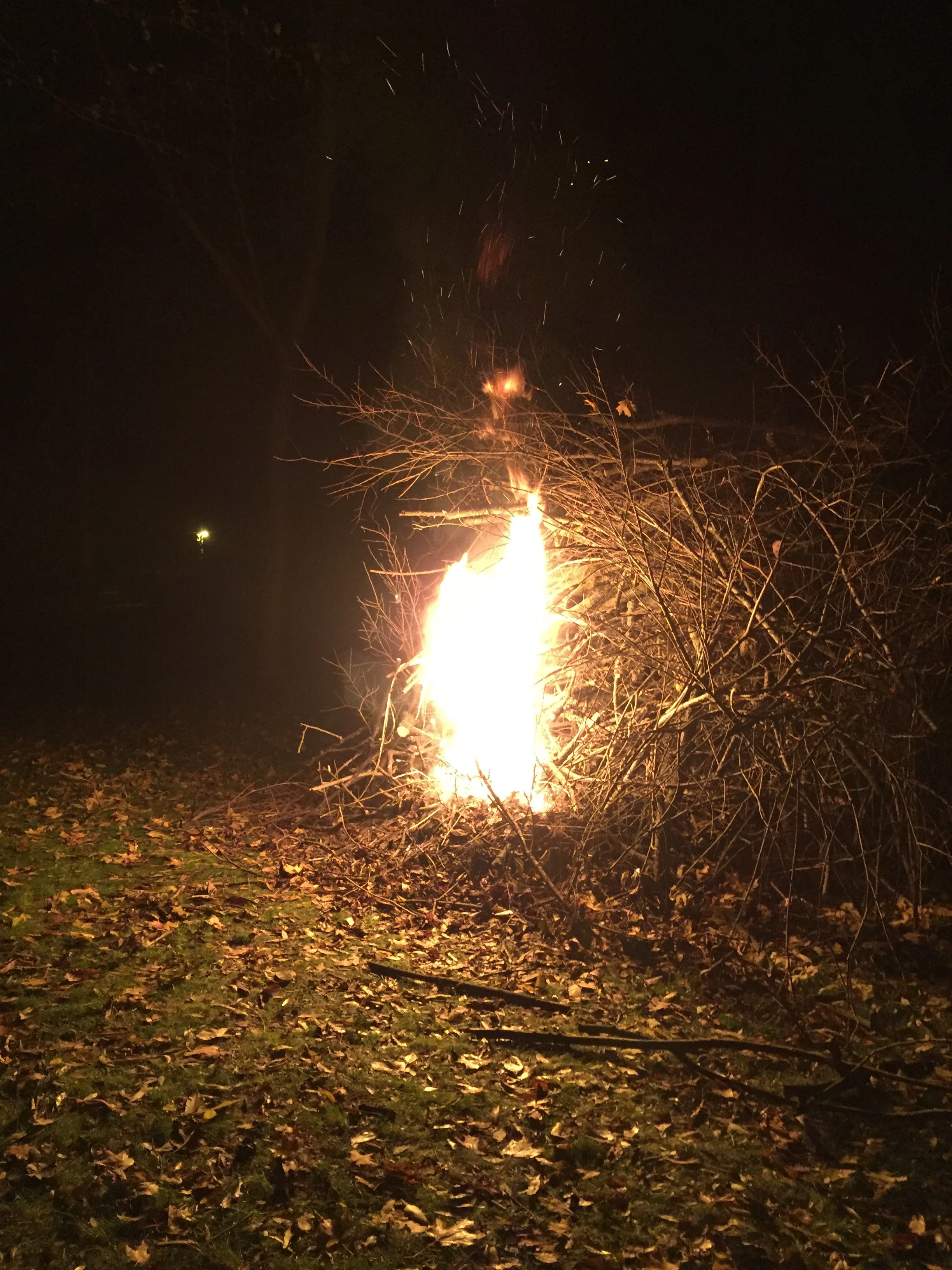 The momentary hope raised by a donut bomb…