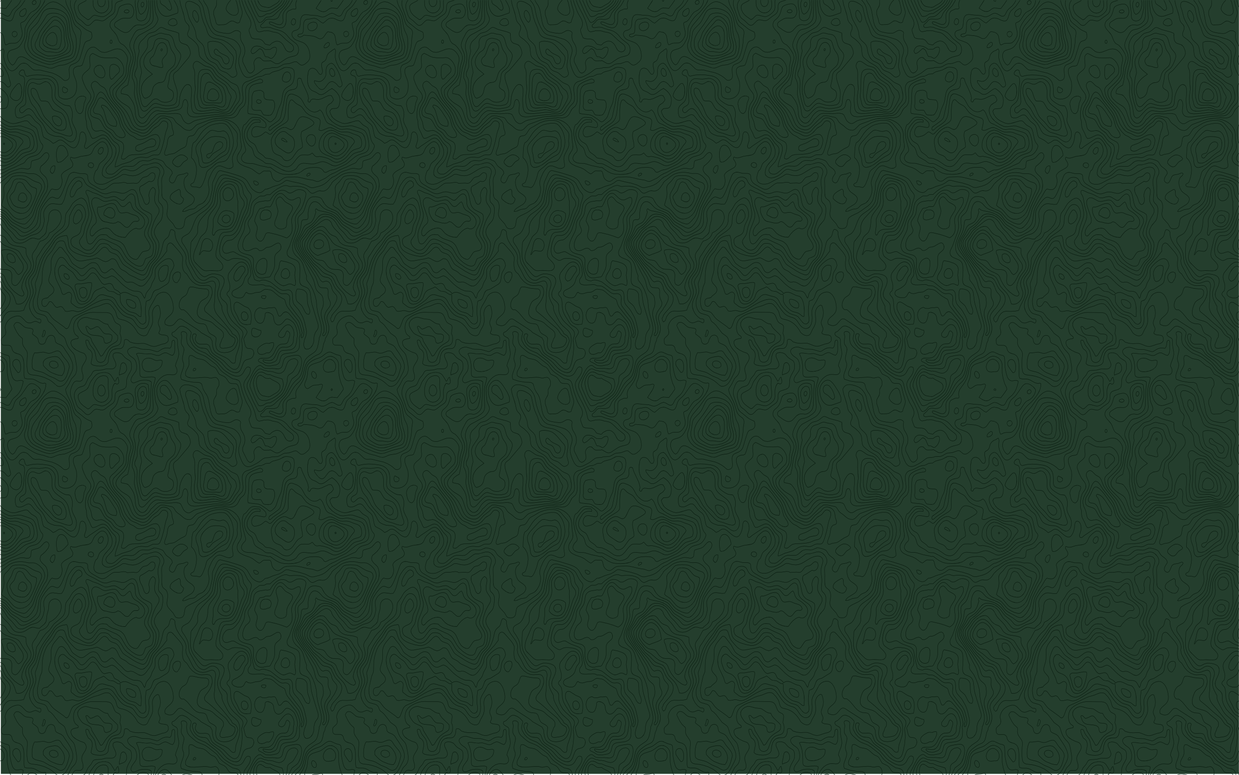 topo header4.png