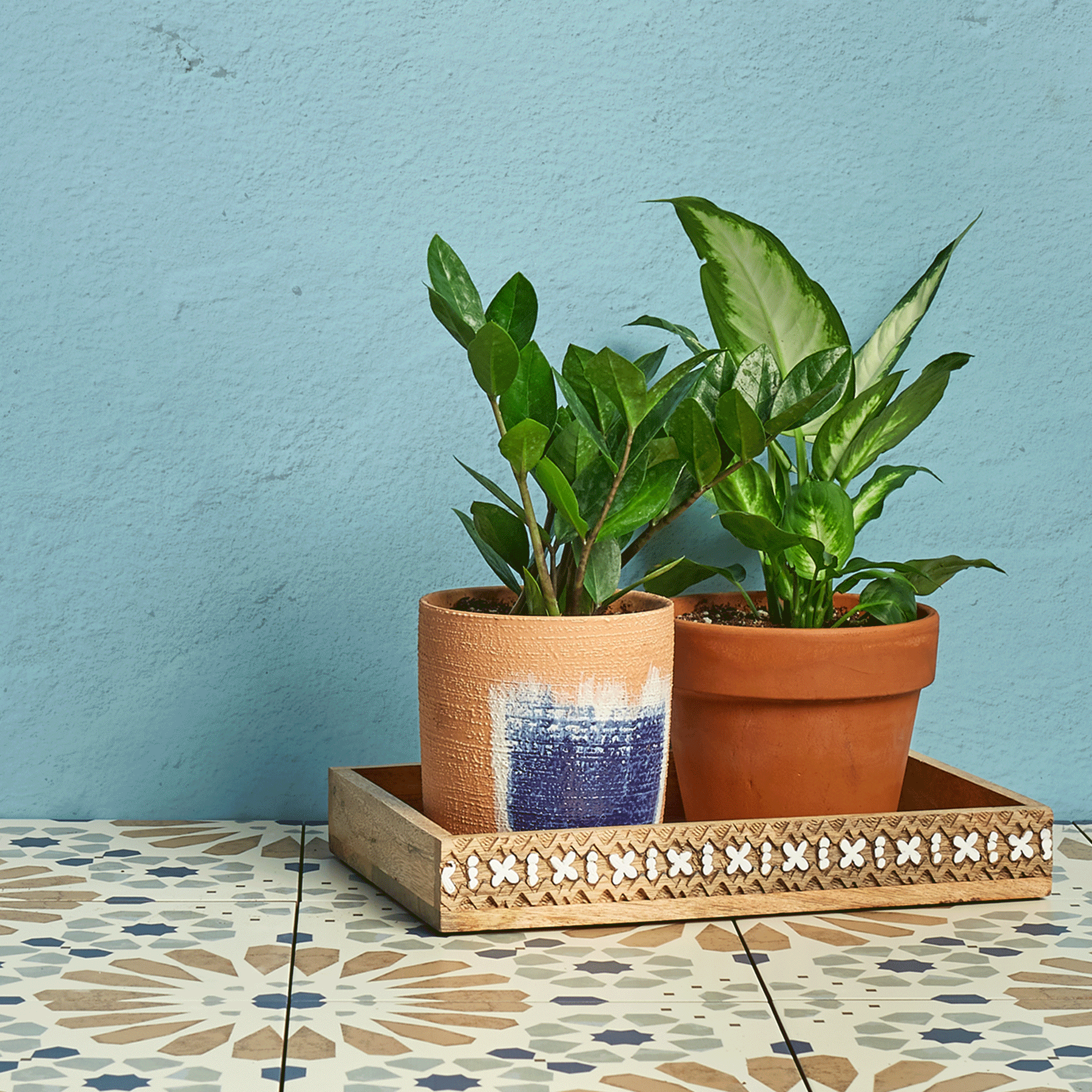 March-Pre-Potted_gif-square.gif
