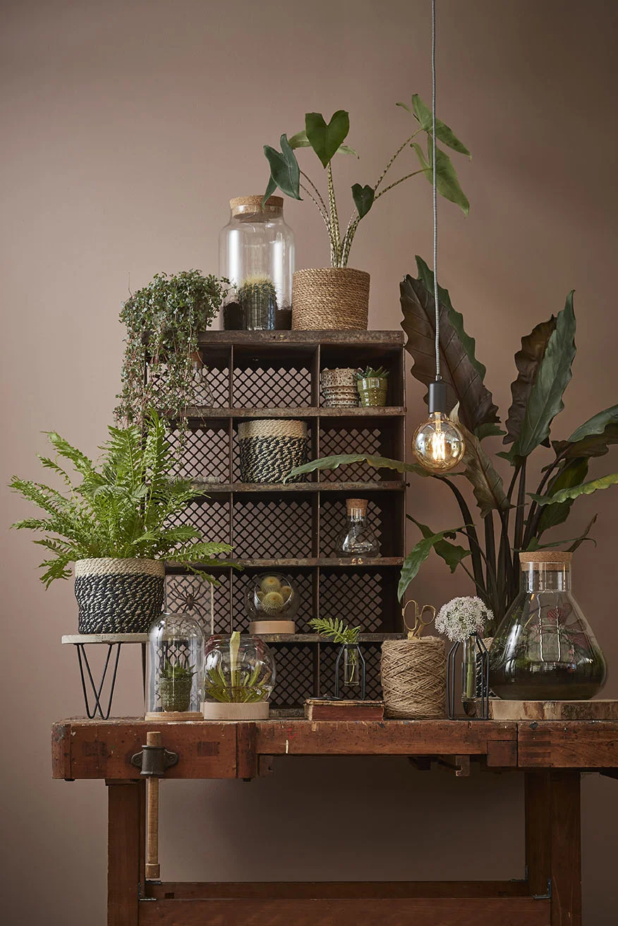 Mica by Edelman — BIDKhome