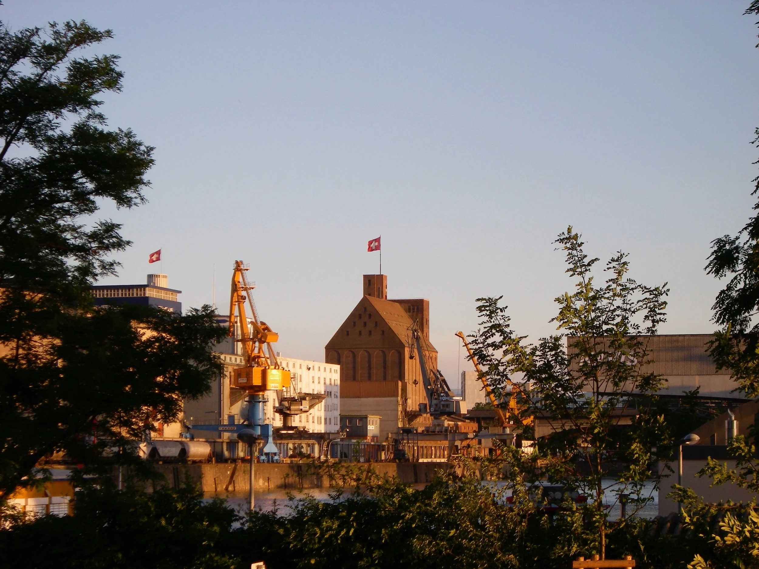 IMGP2523.jpg
