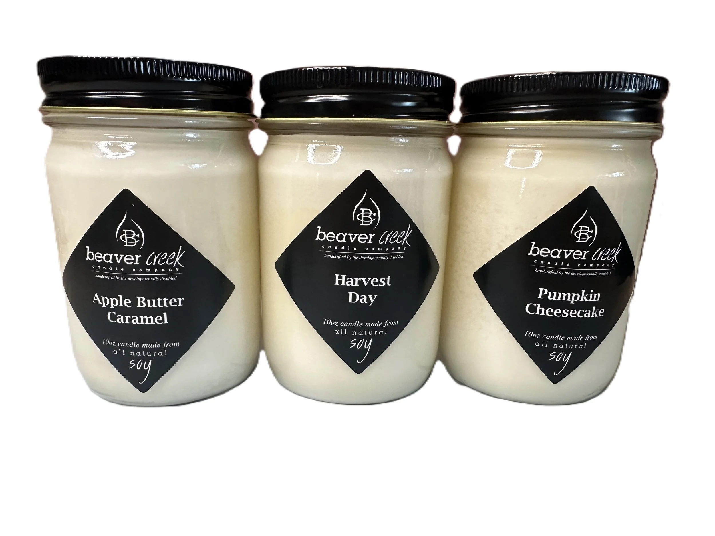 Fall Festival Bundle