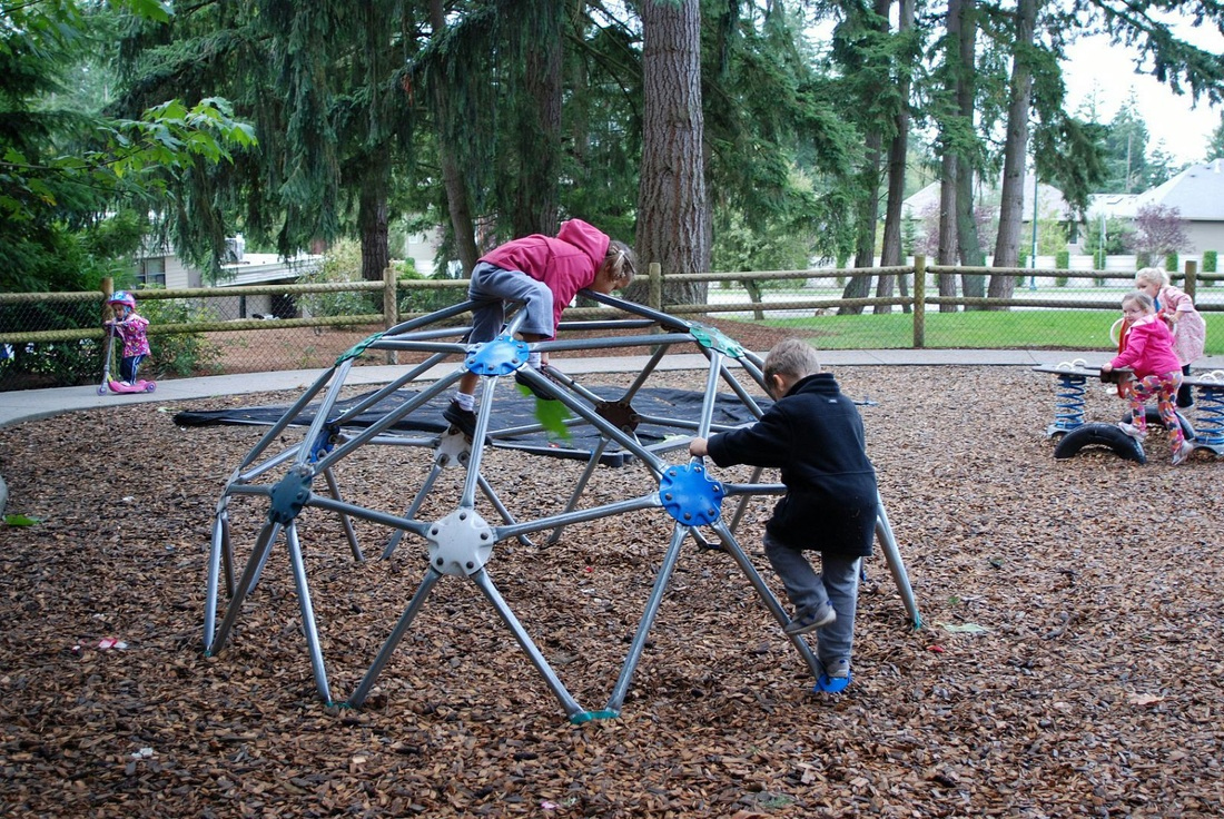 Our large play area is fenced and equipped with opportunities to climb, swing, dig, run and play!