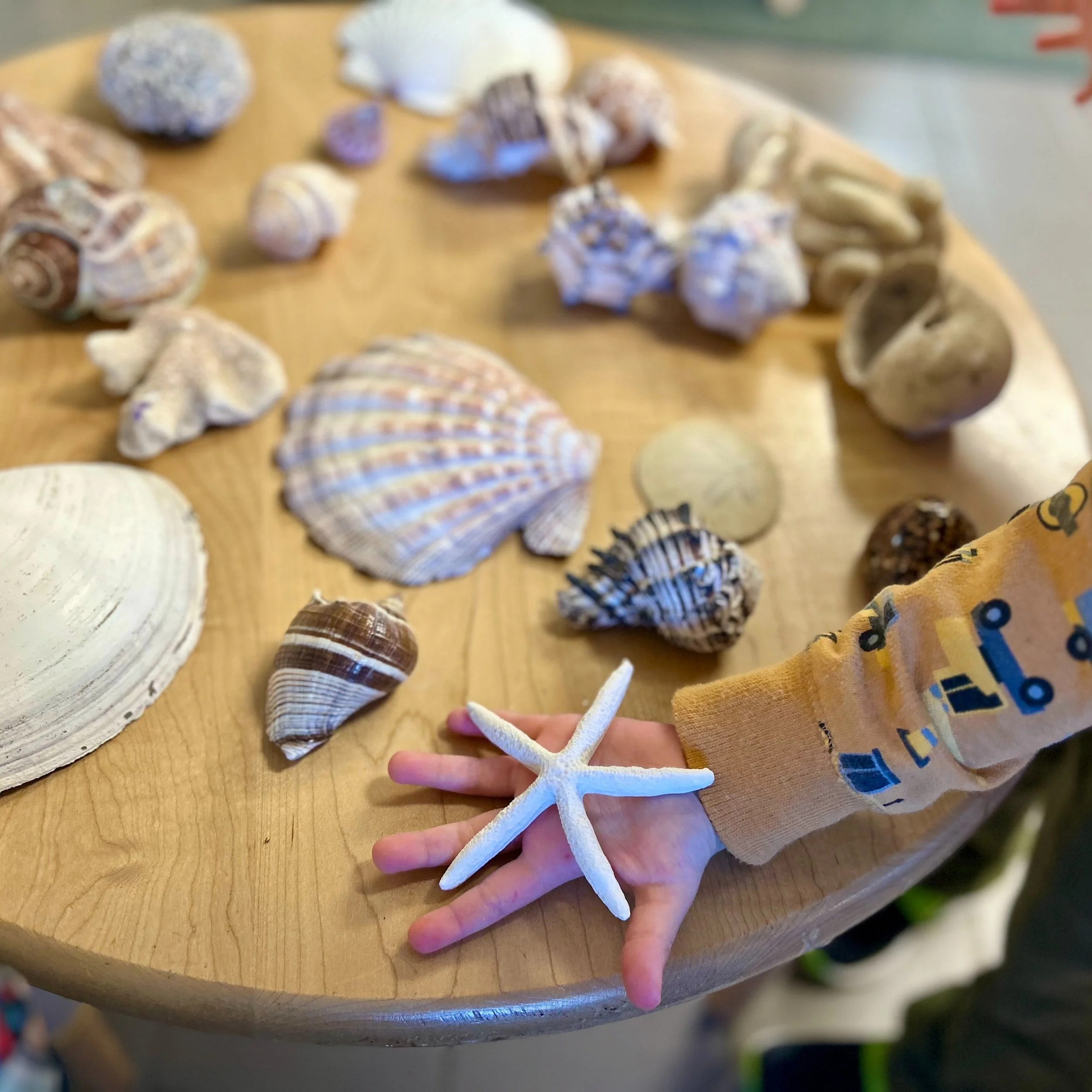 "Life under the sea is better than anything..." - our school of fish is learning about it! #pinelake