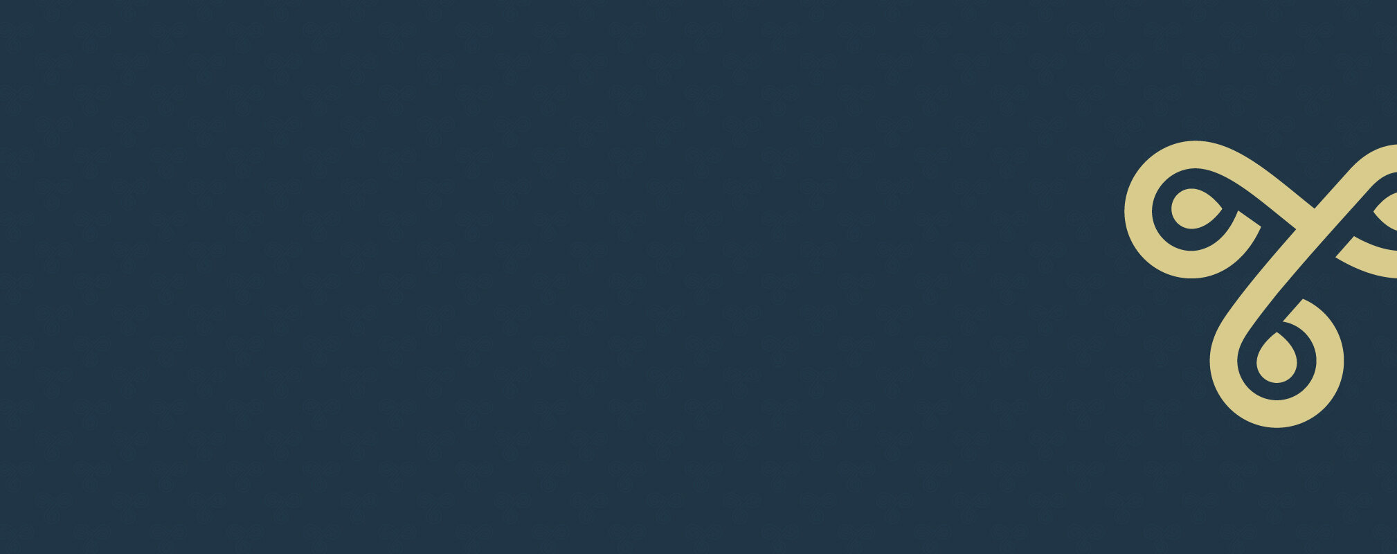 Blue Header-02-01.jpg