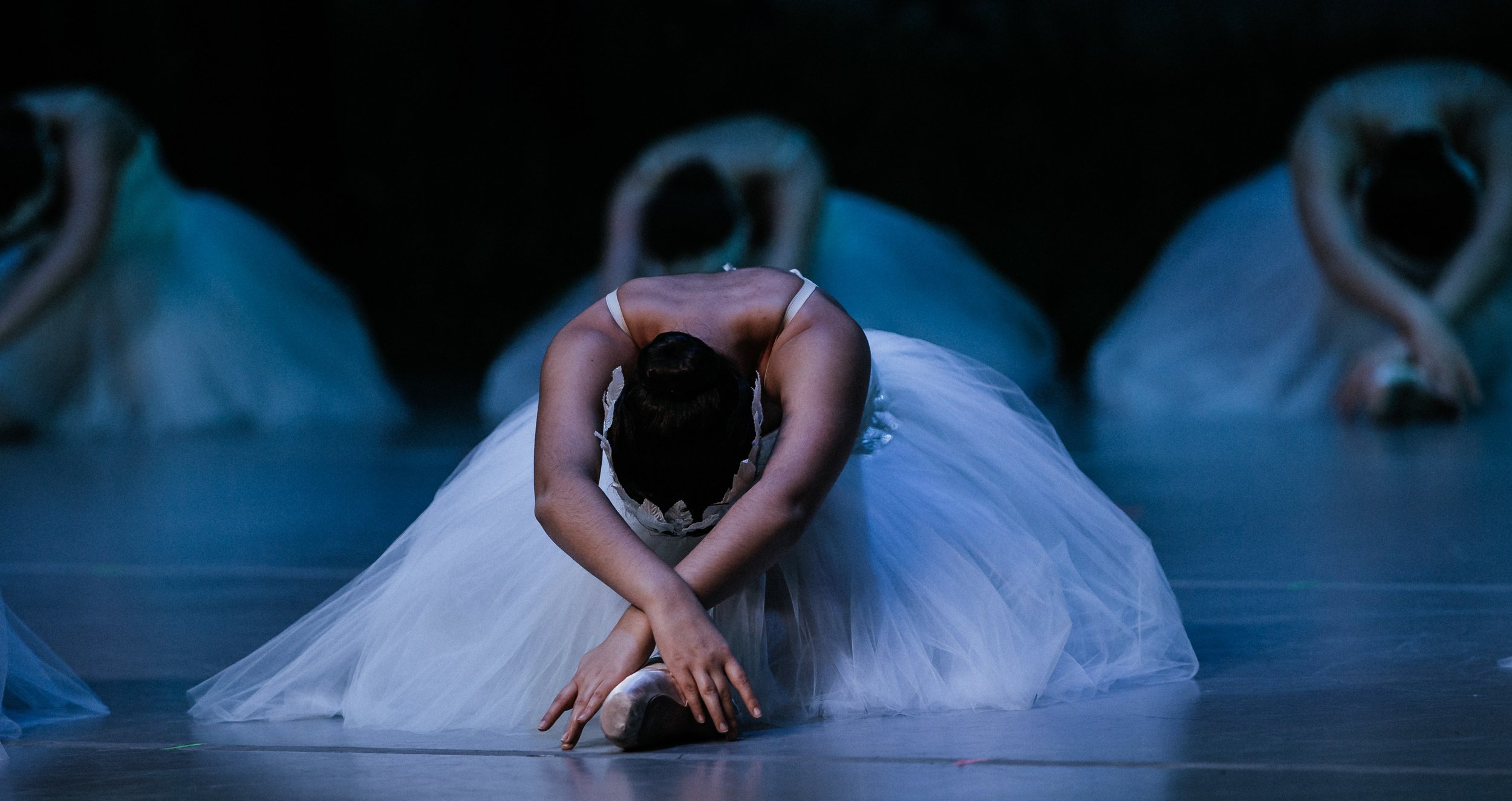 2019 Swan Lake-587-2_Social.jpg