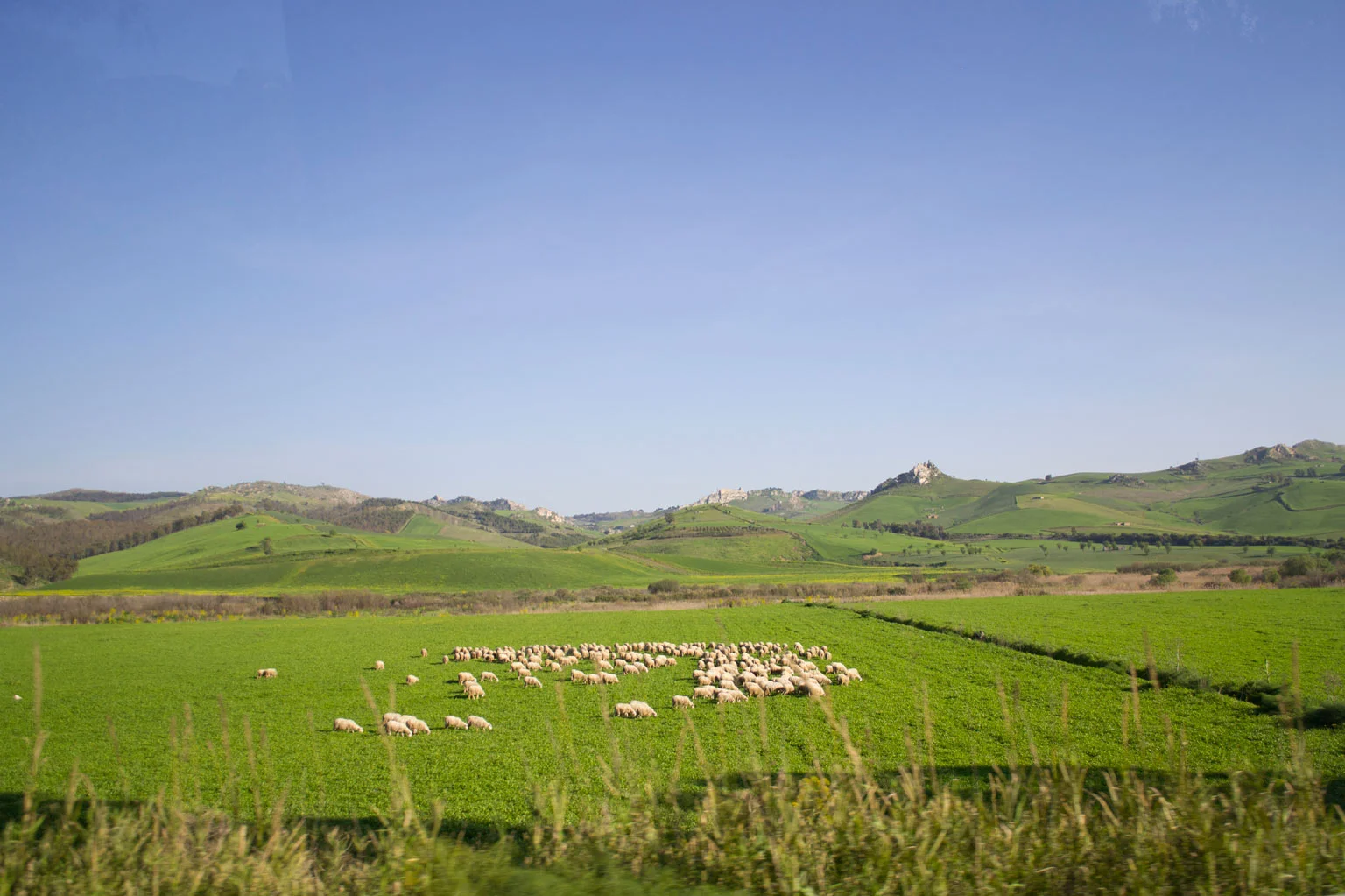 DSC_0319.jpg