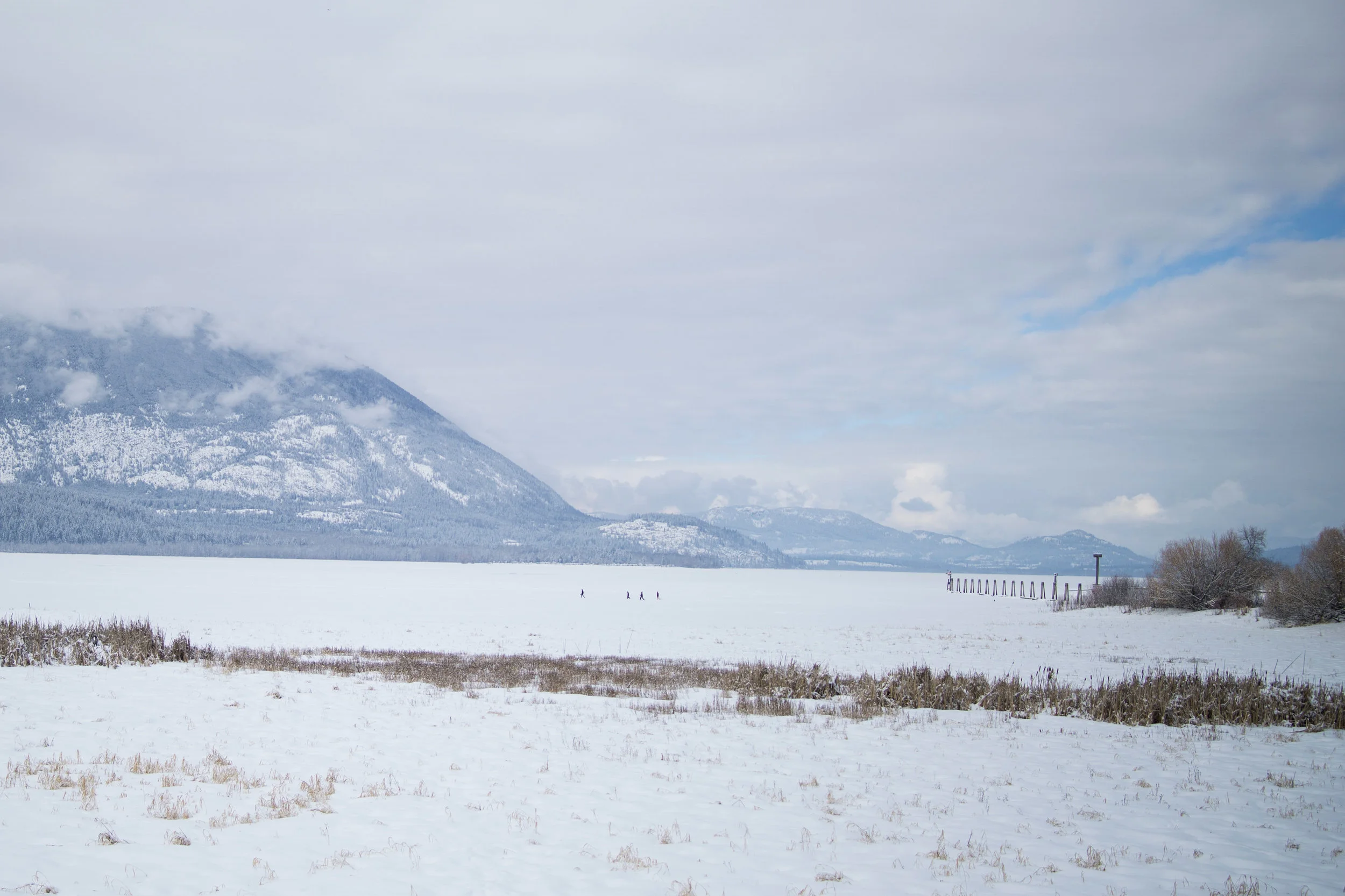 A family of 4 snowshoes on frozen Shuswap Lake in Salmon Arm. (IMAGE: www.aaronjbarr.com)