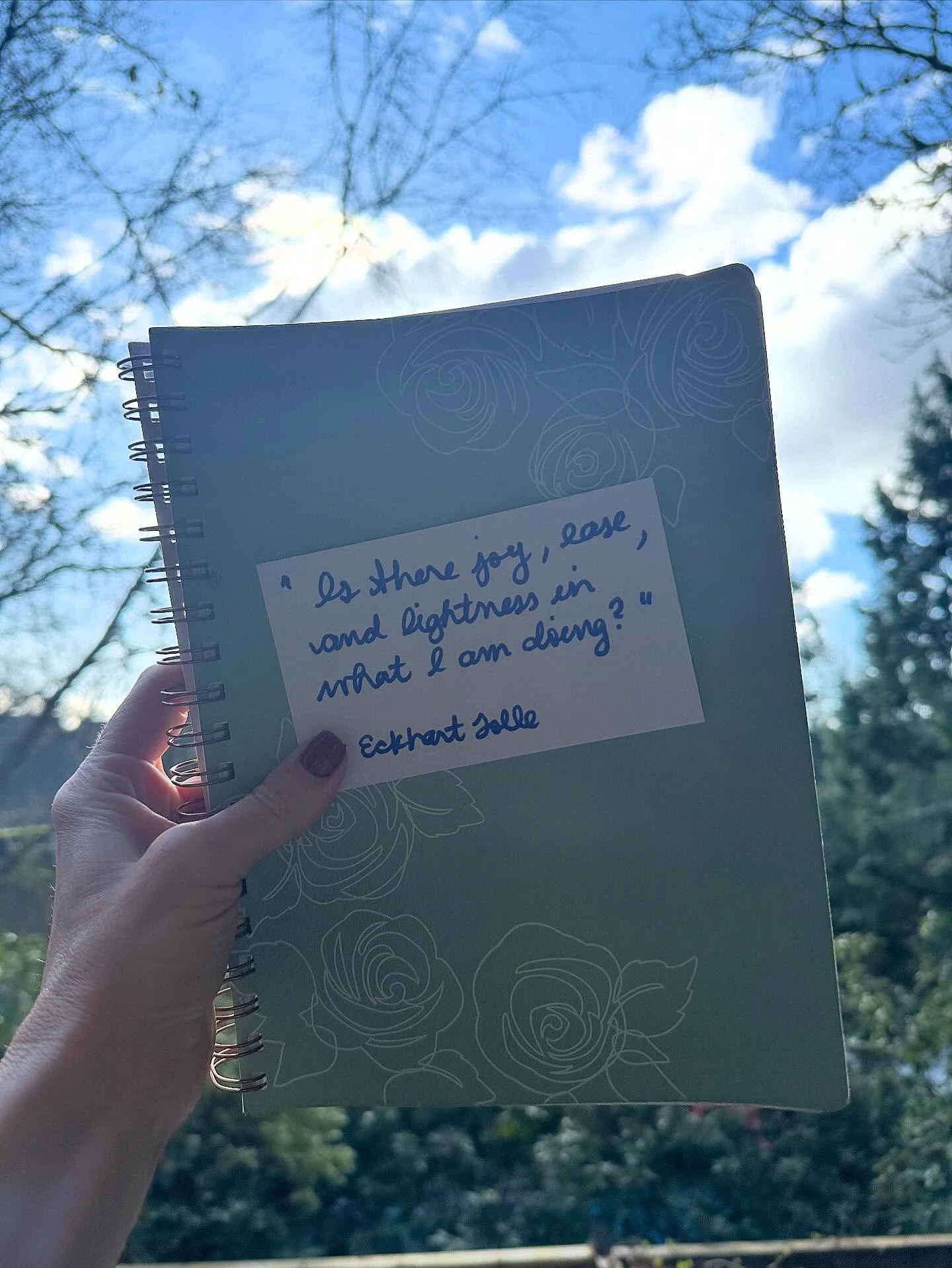 Do you have AM Rituals? The start of our day is so sacred. Before I connect with the outside world, I connect with my inside world by beginning the day with hydration, natural light, fresh air, reflection, movement, nourishment, and connection with m