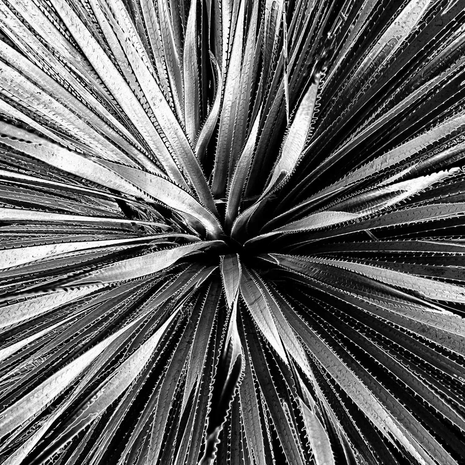 DSCF7899-Edit-Edit.jpg