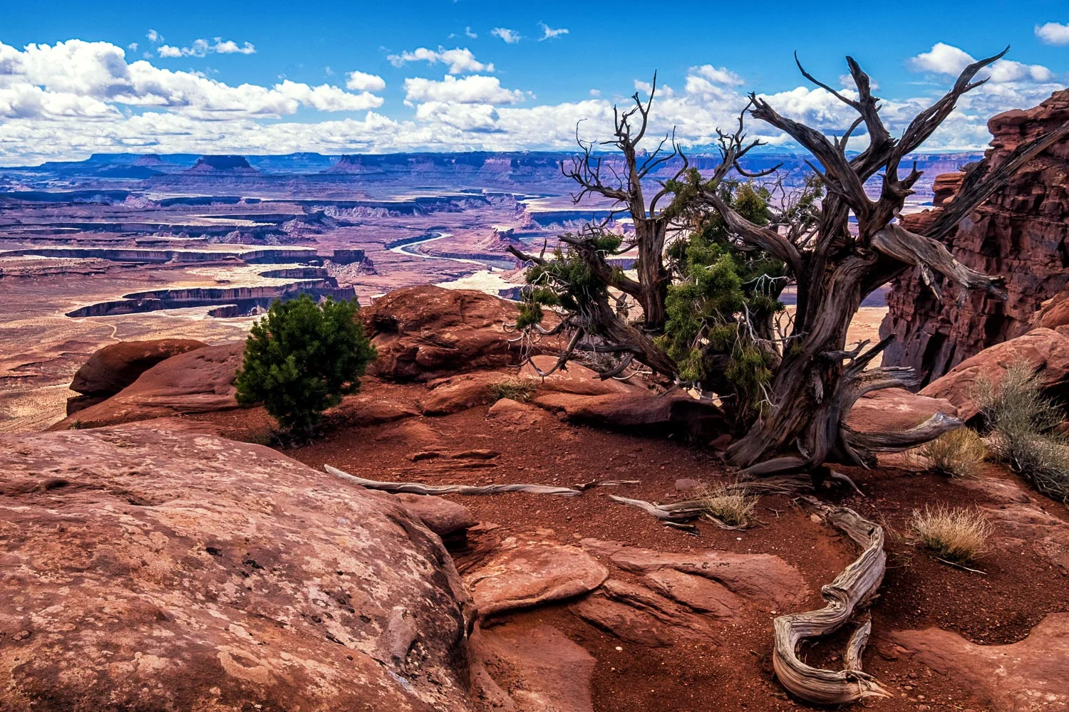 DSCF8129-HDR-Edit.jpg