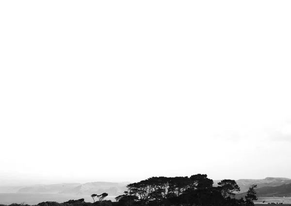 WAINUI PINESRaglan, New Zealand taken 4 February 2015 DIGITALLimited edition of 7 _ 1 sold Available in a range of sizes and frame colour options- please enquire.