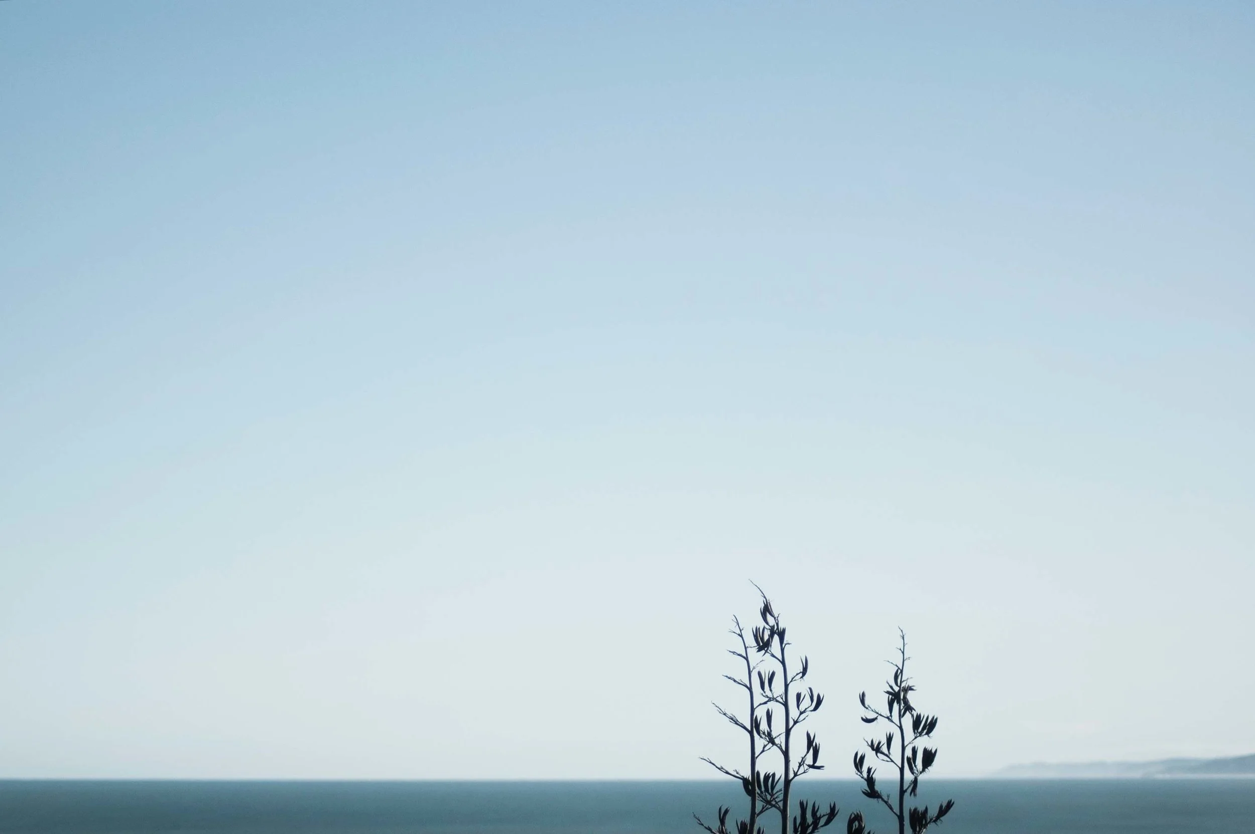 Press on image to see full uncropped view of image.