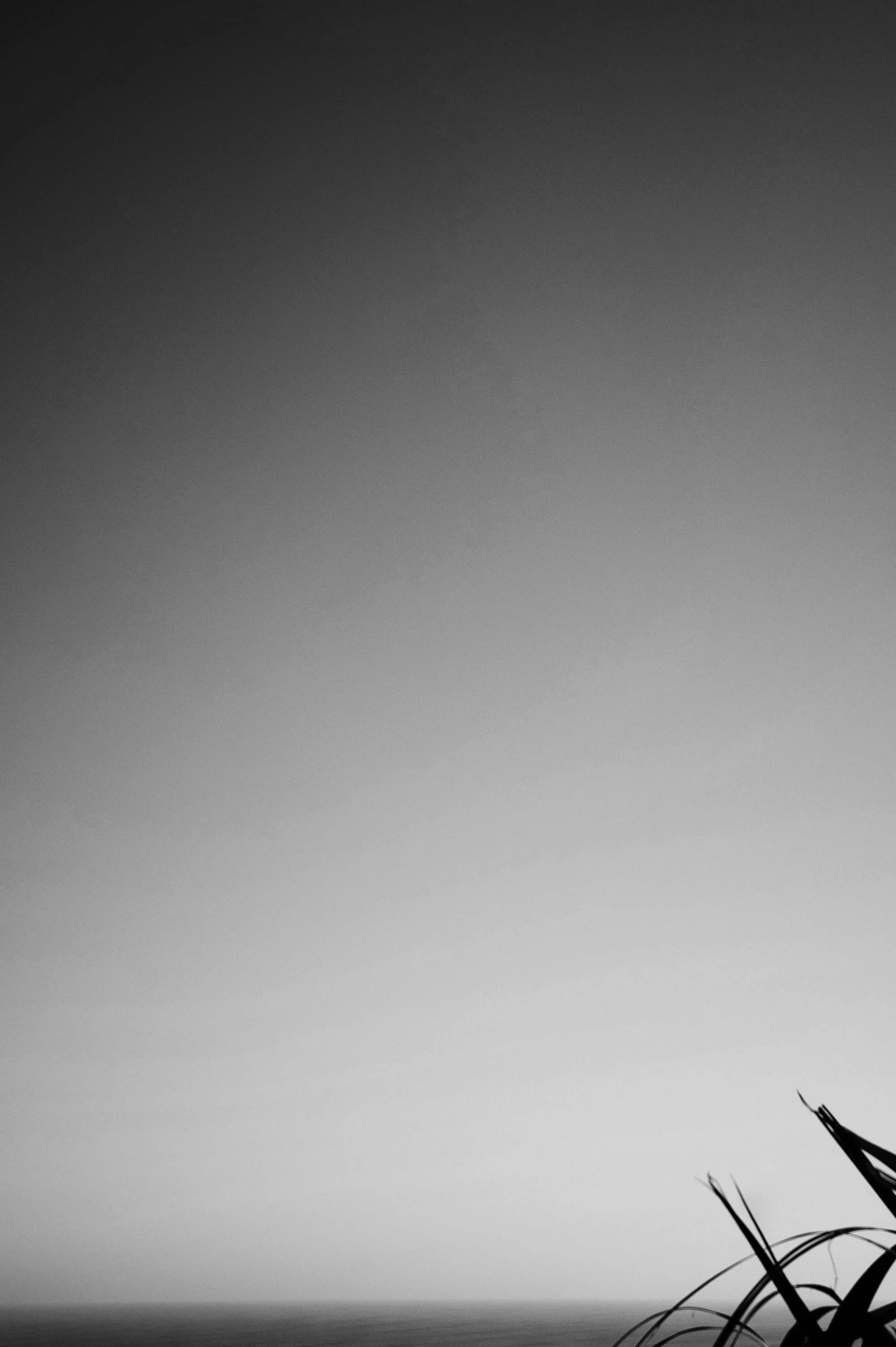 DSC_0021-bw-LO.jpg