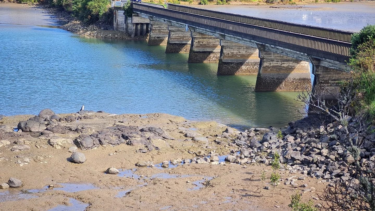 Morning walks with the olds today ♡
#mamasintown #family #whānau #onewaybridge