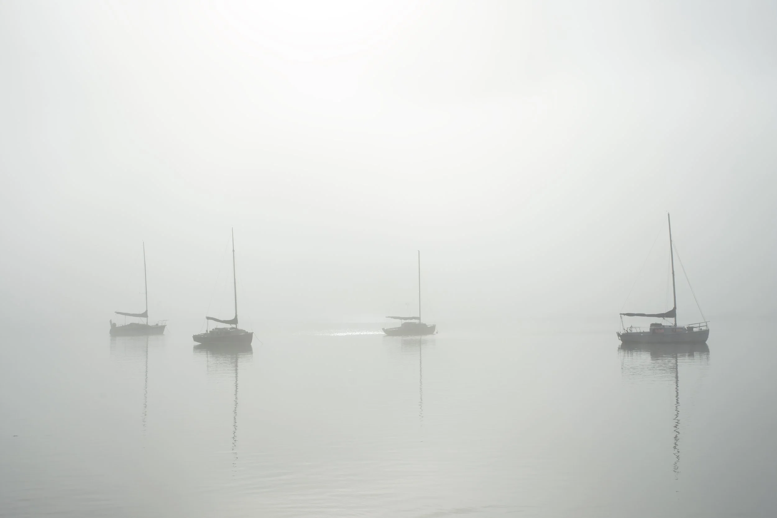 DSC_0298 2.jpg