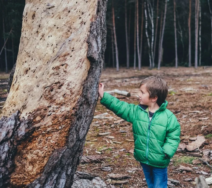 The Sandbox Project: The Environment