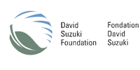 David Suzuki Foundation